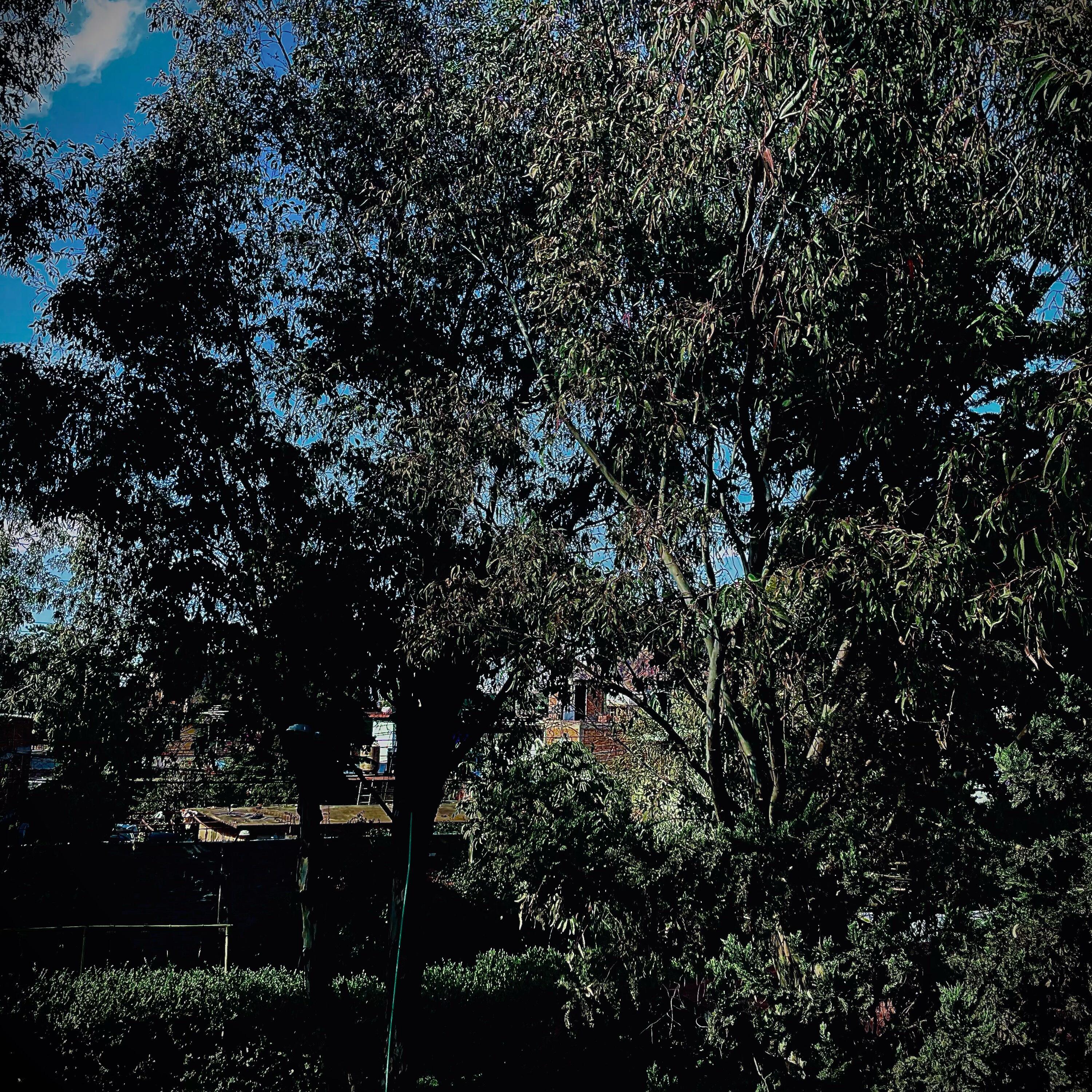 Track Image