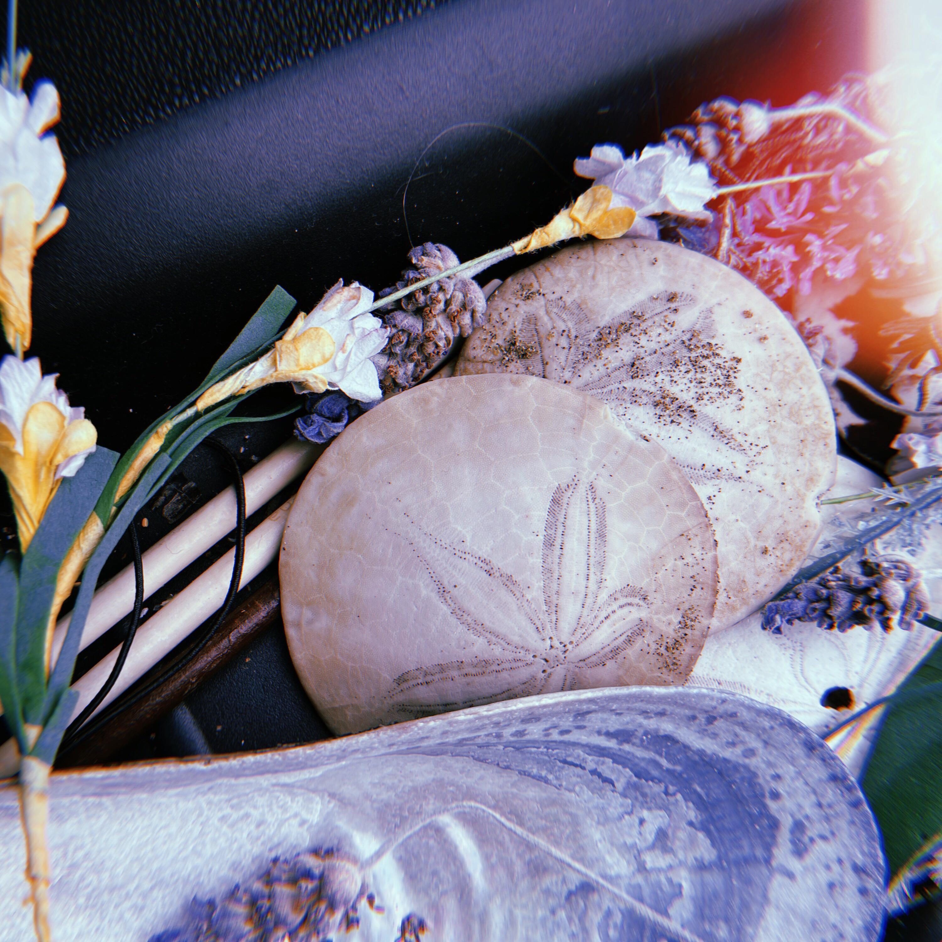 Track Image