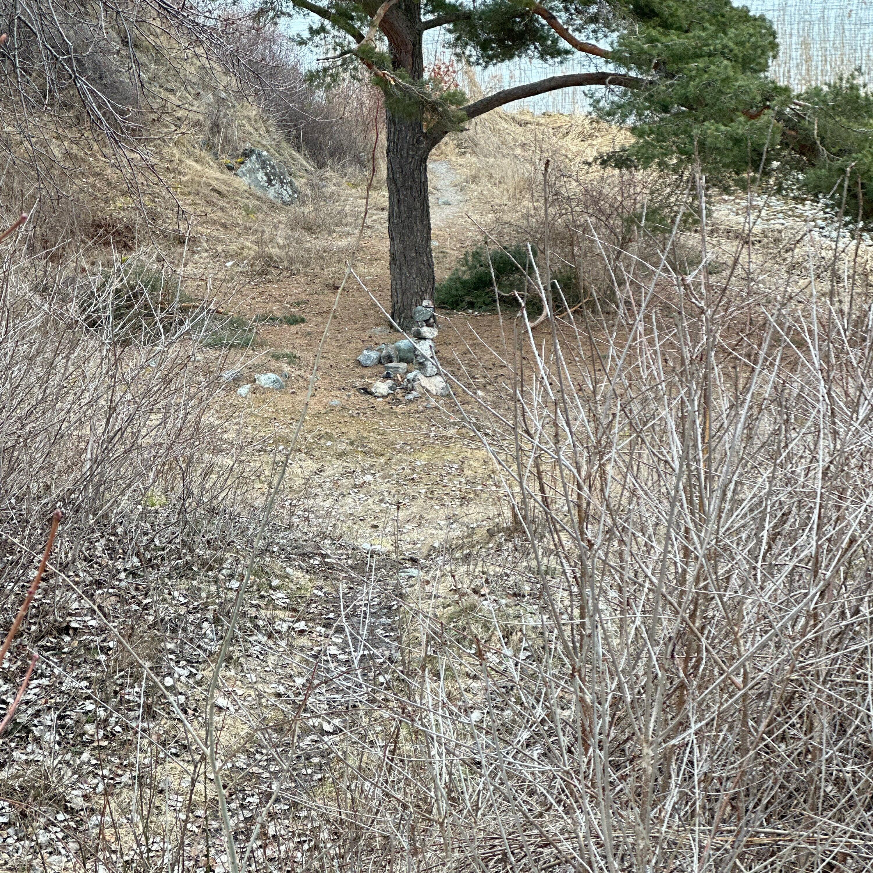 Track Image