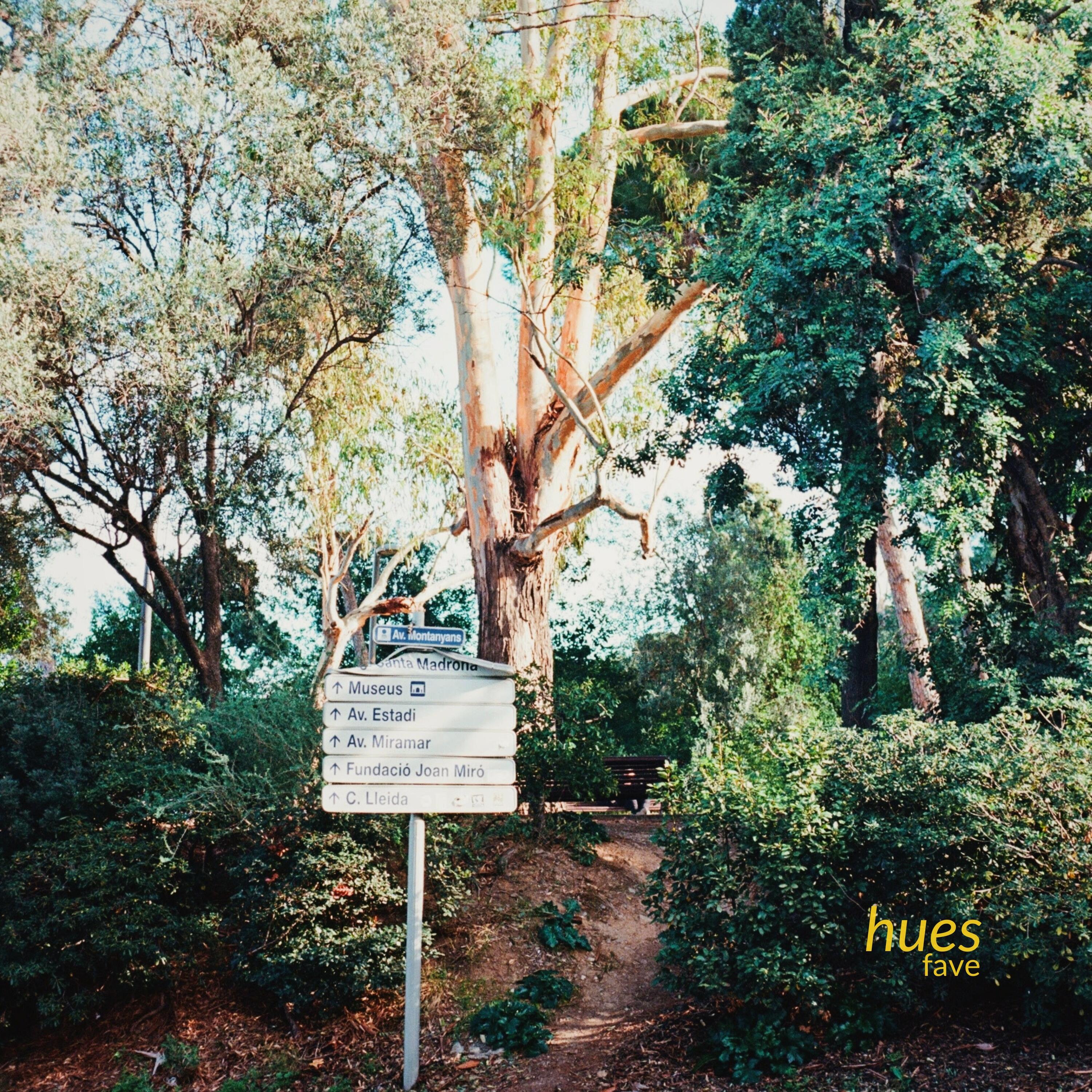 Track Image
