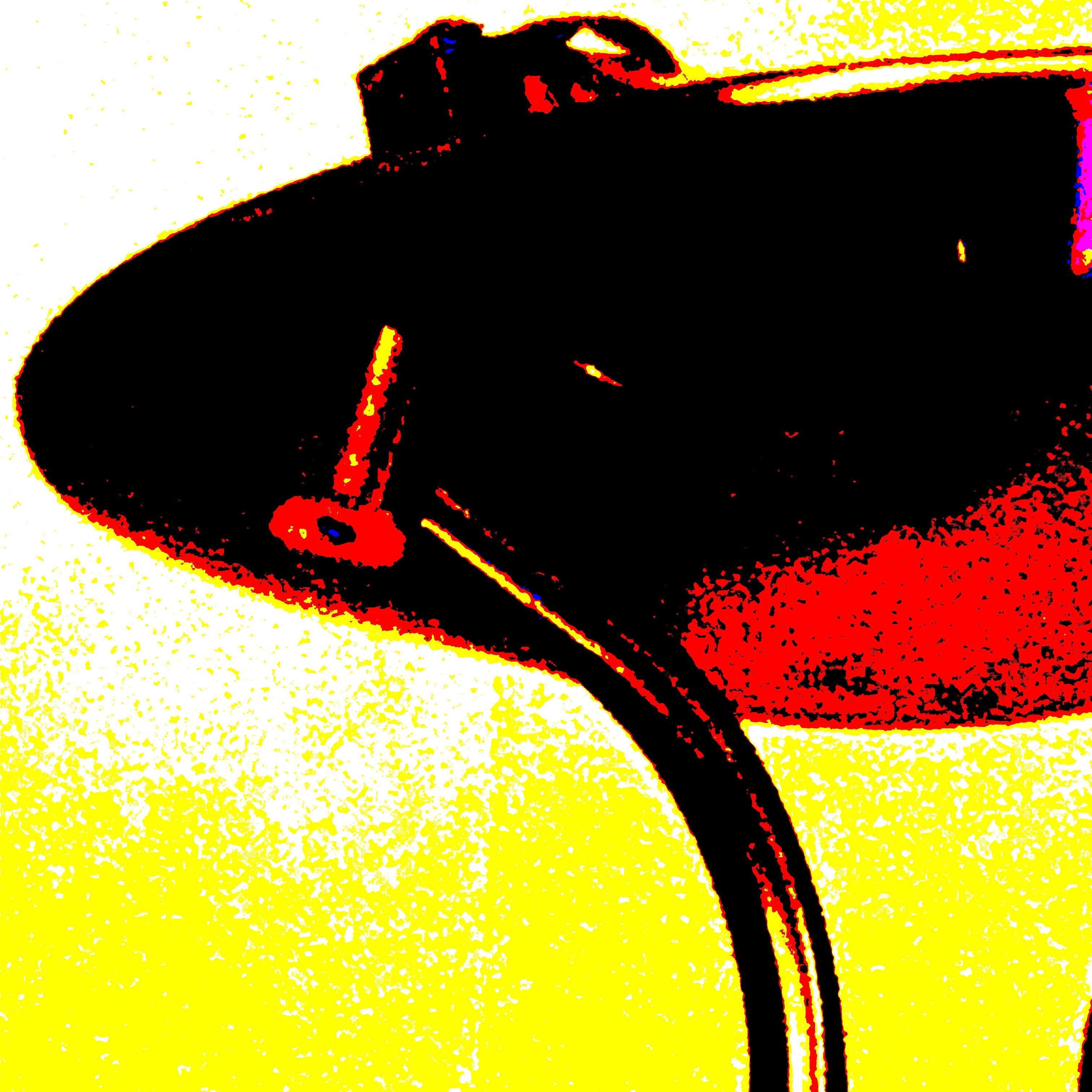 Track Image