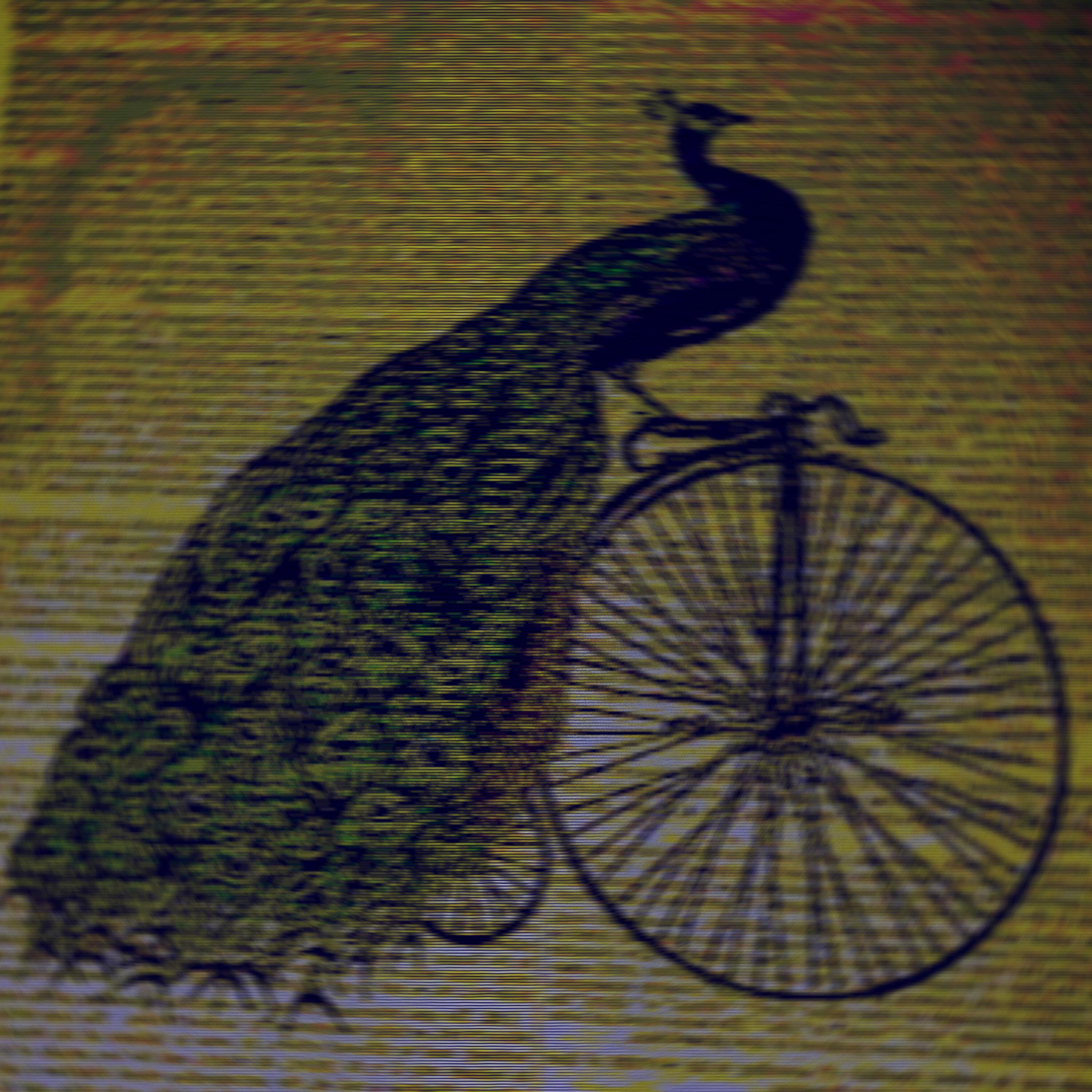 Track Image