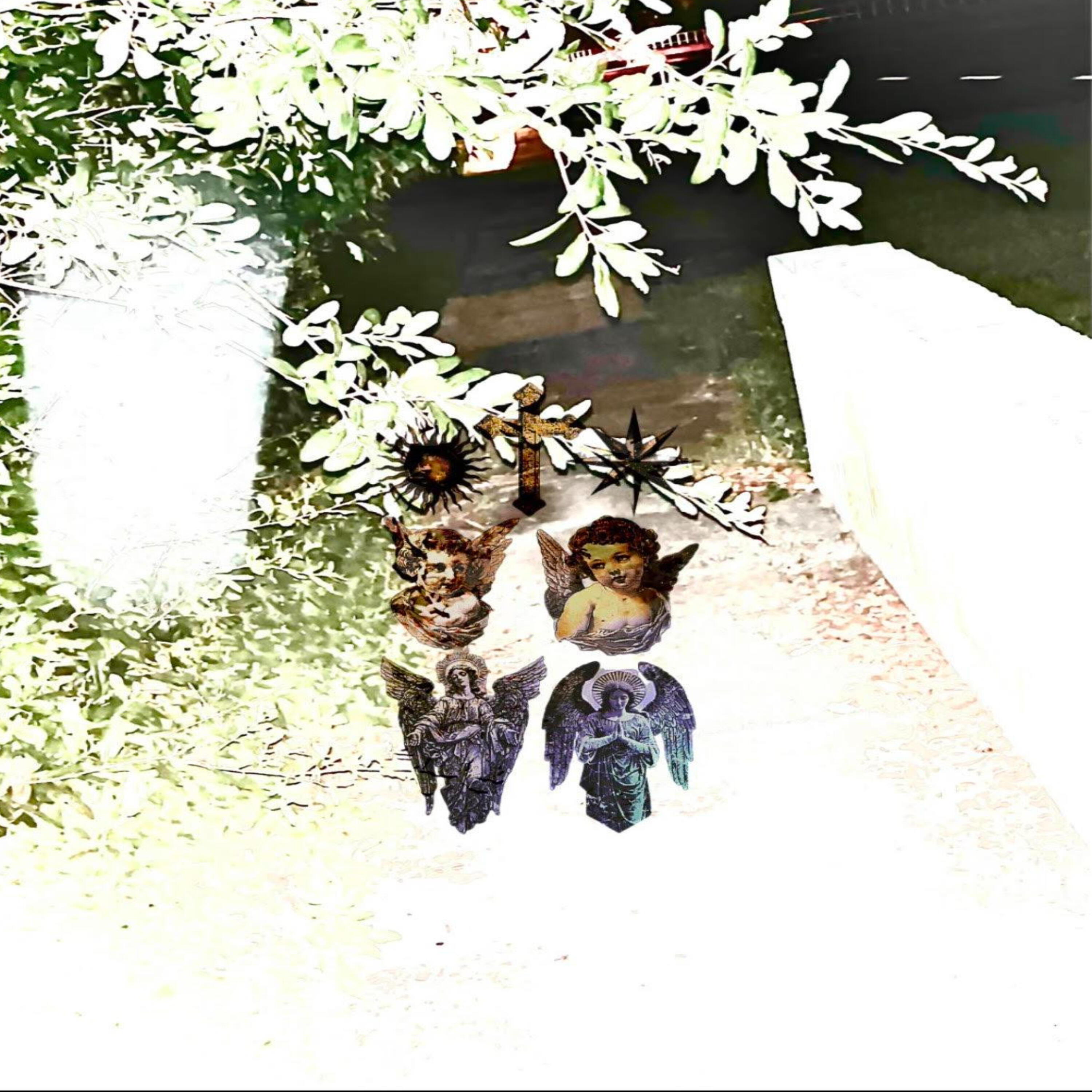 Track Image