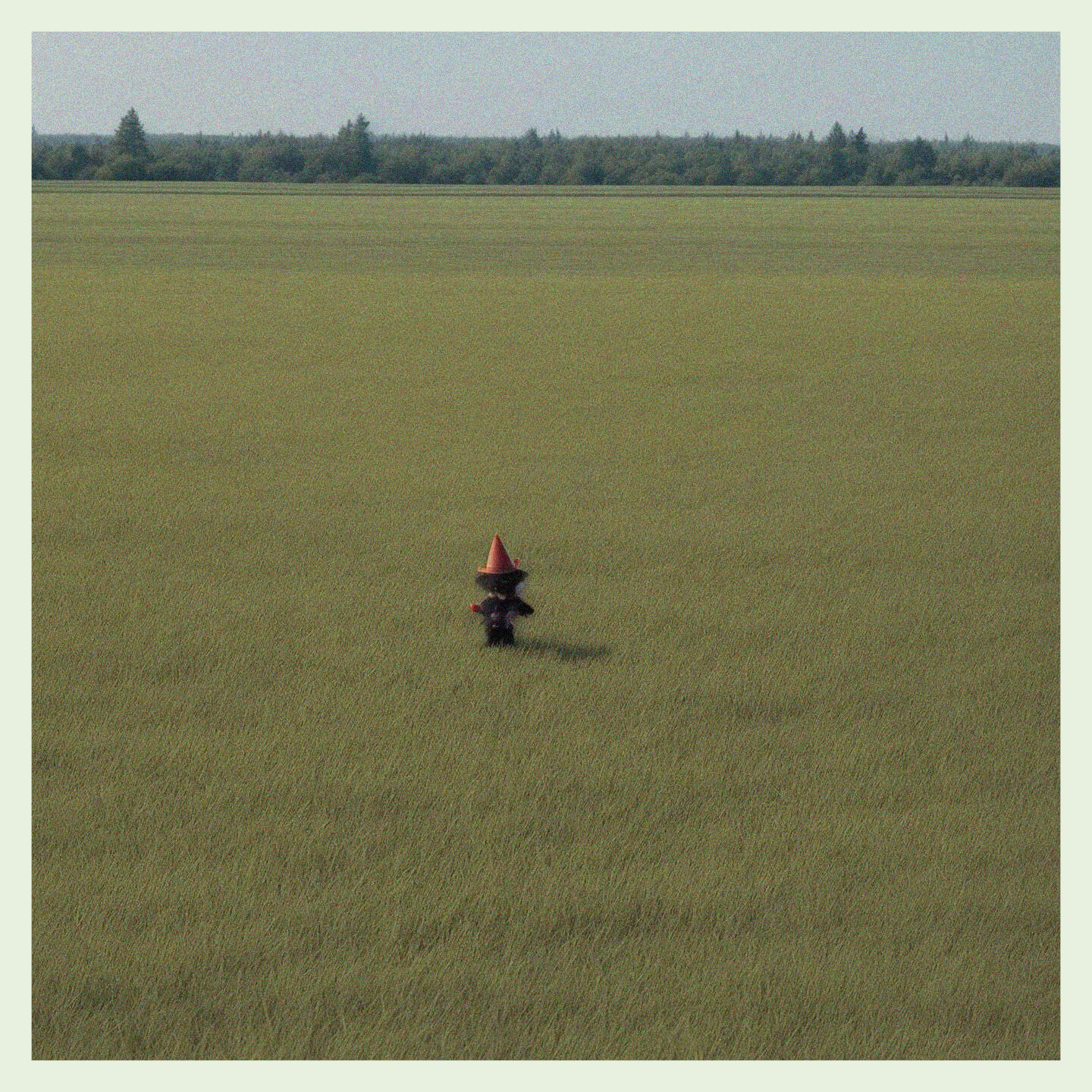 Track Image