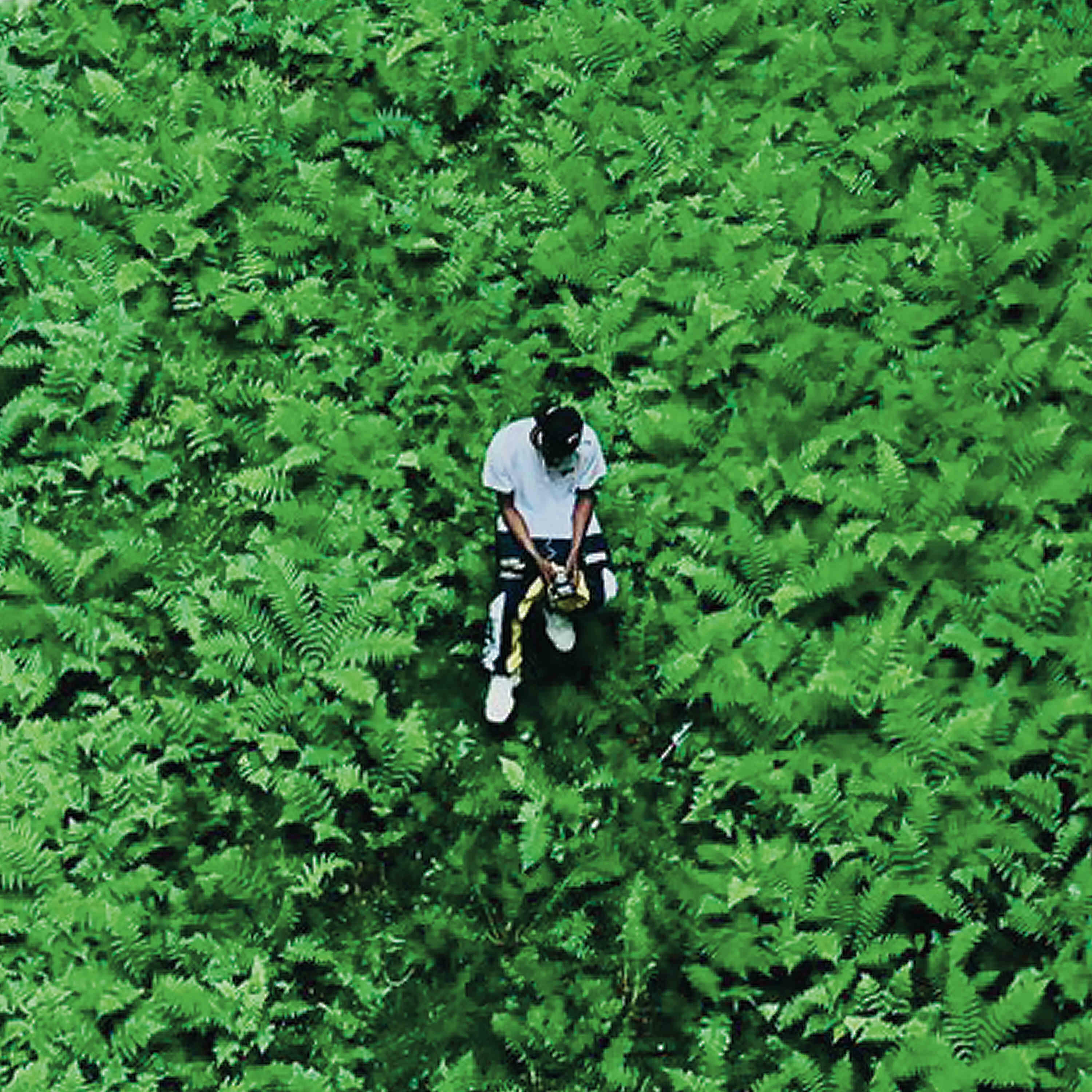 Track Image