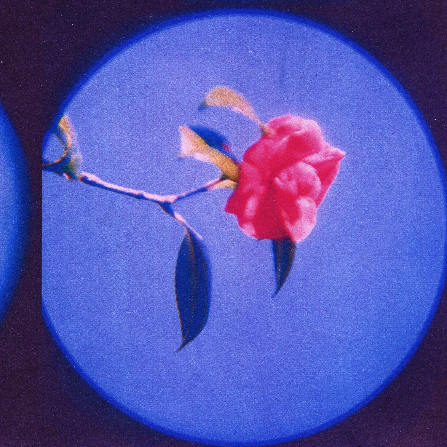 Track Image