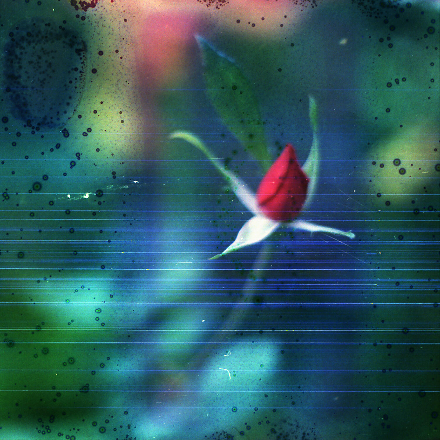 Track Image