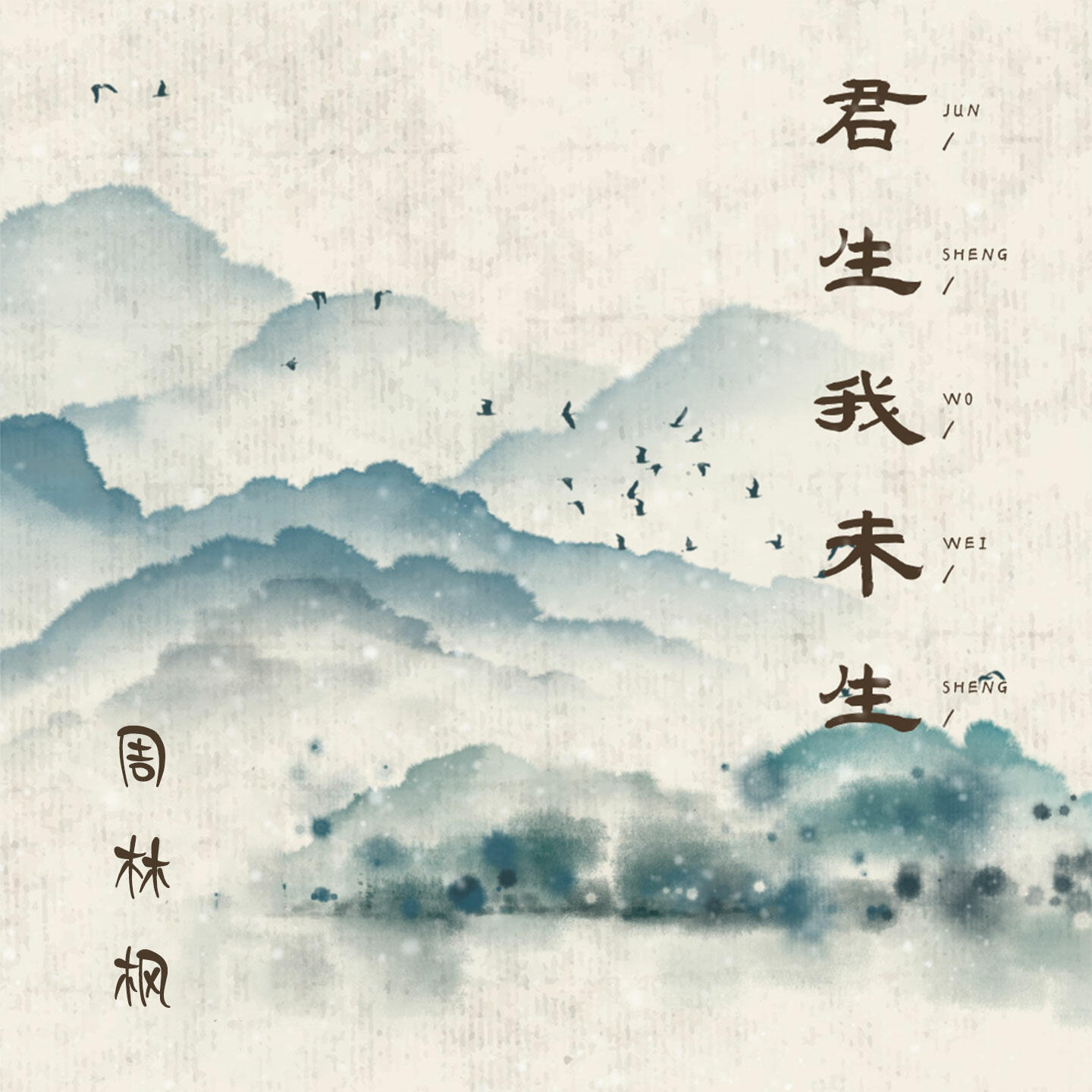 Track Image