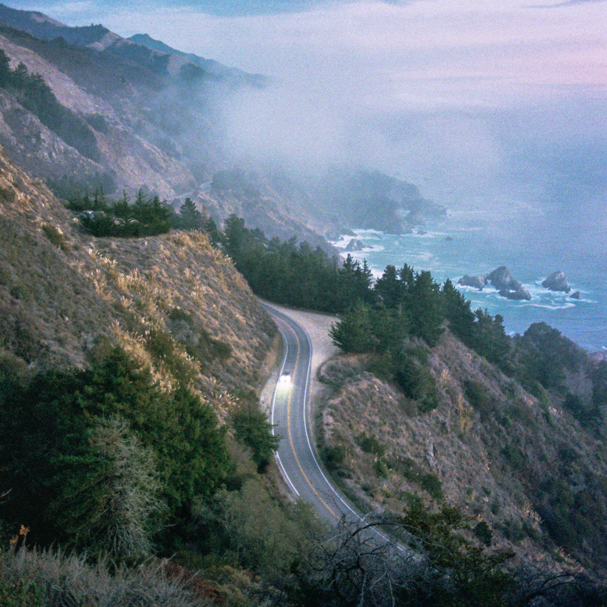 Track Image
