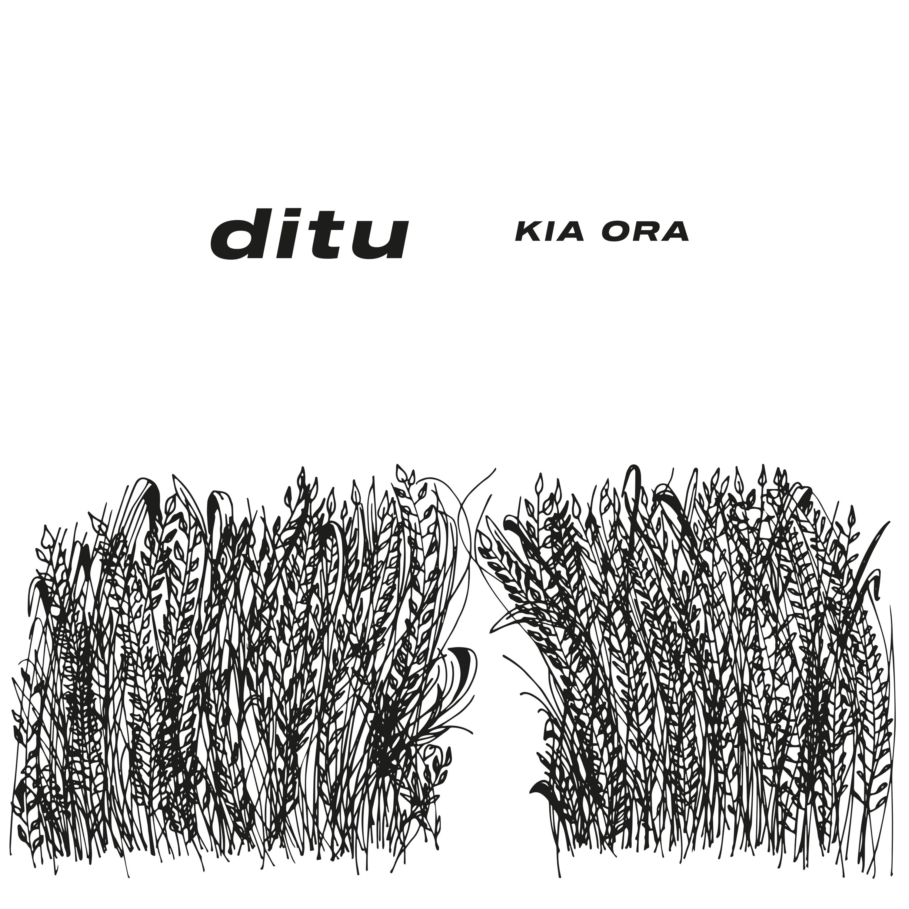 Track Image