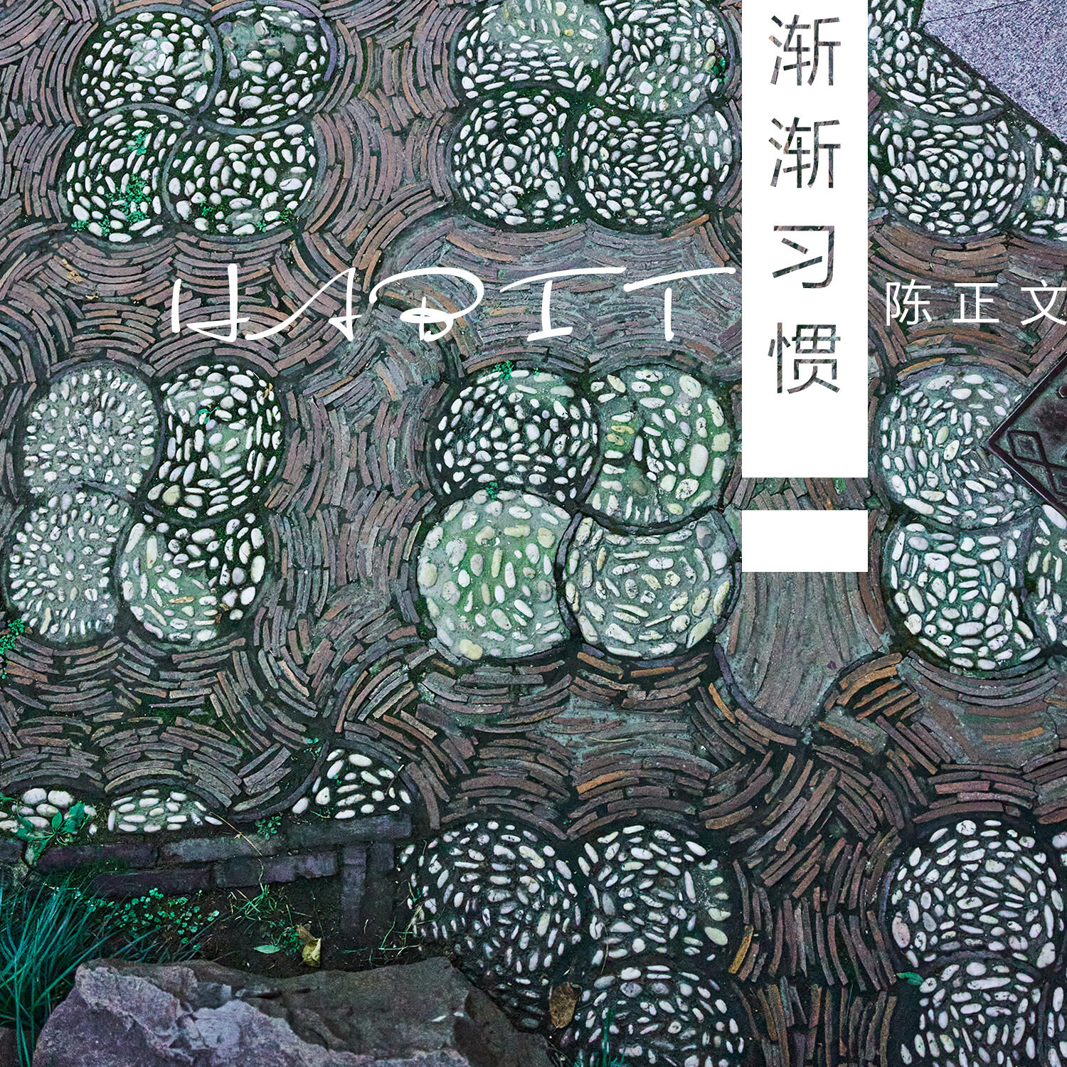 Track Image