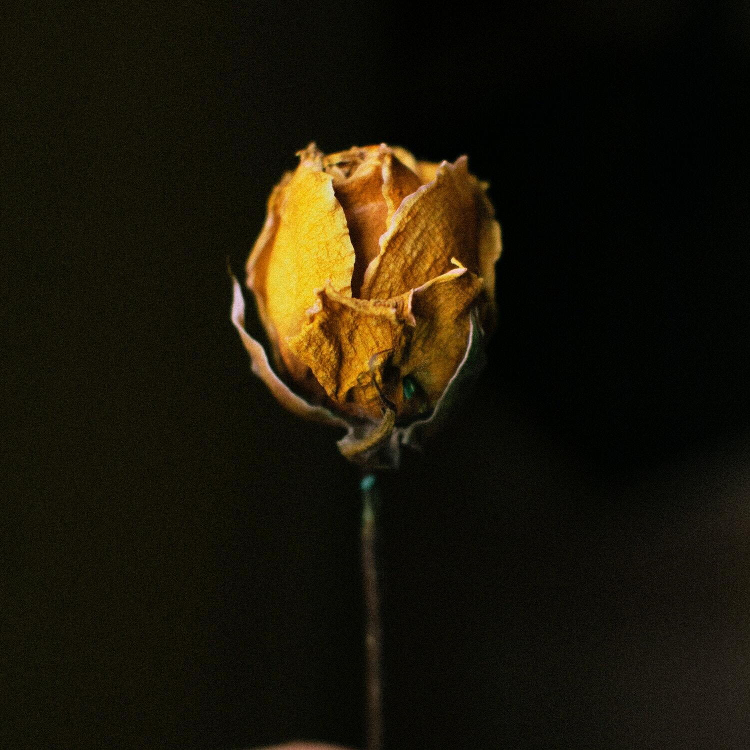 Track Image