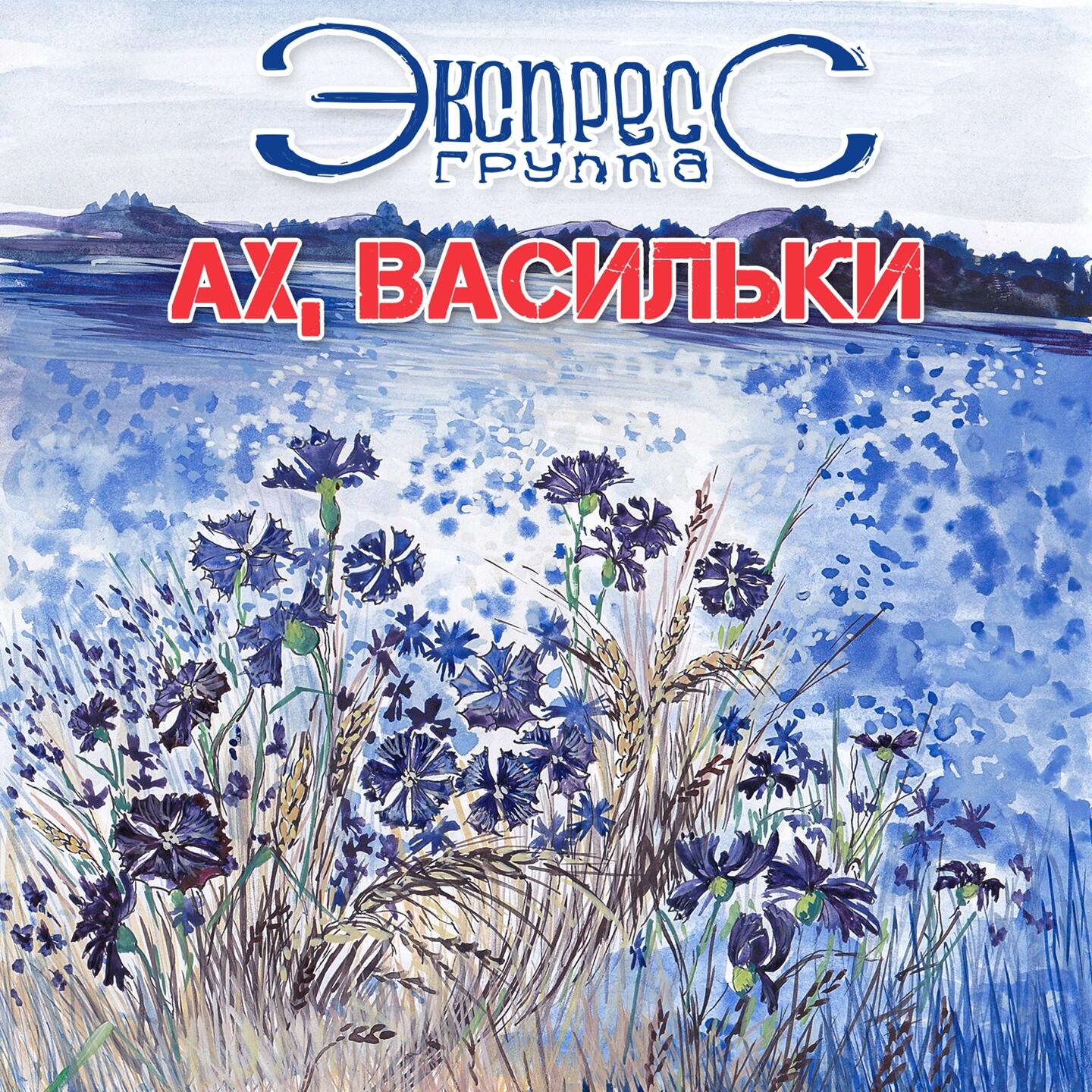 Track Image