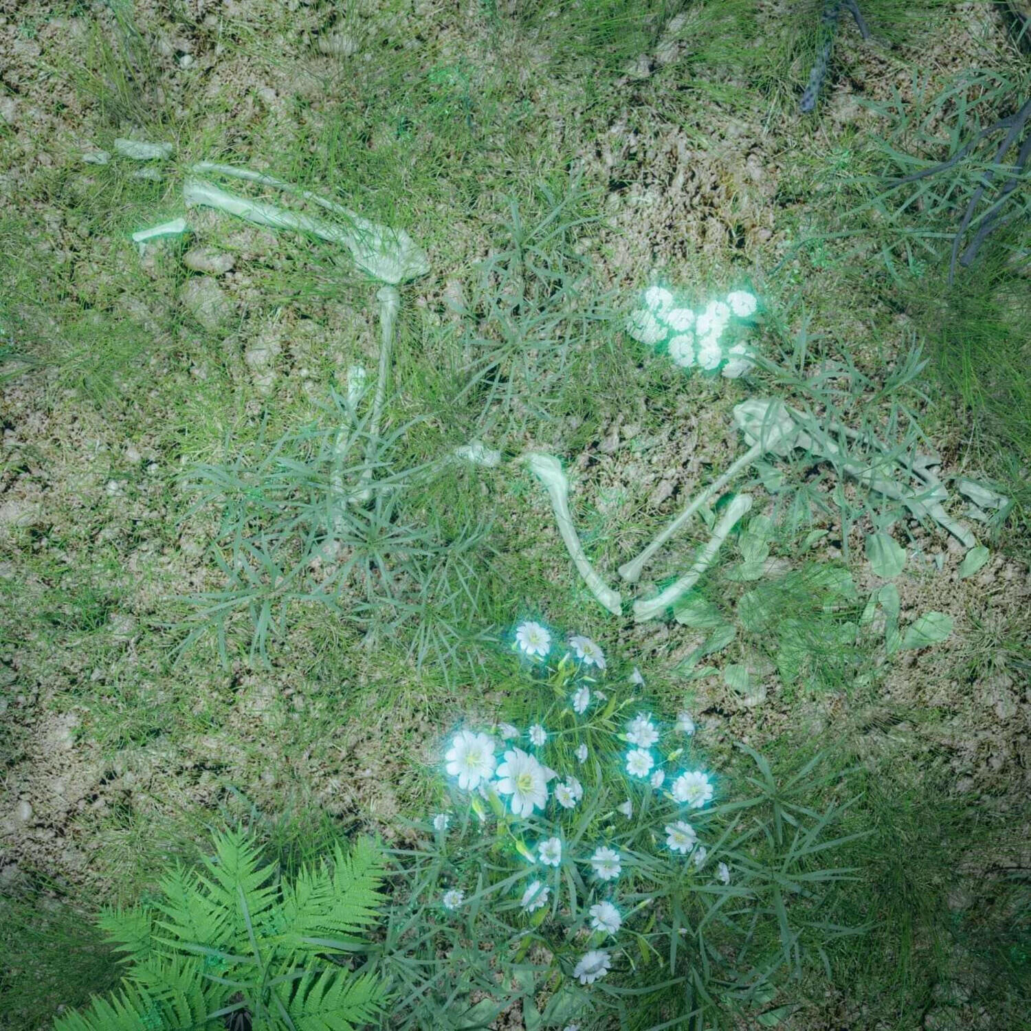 Track Image