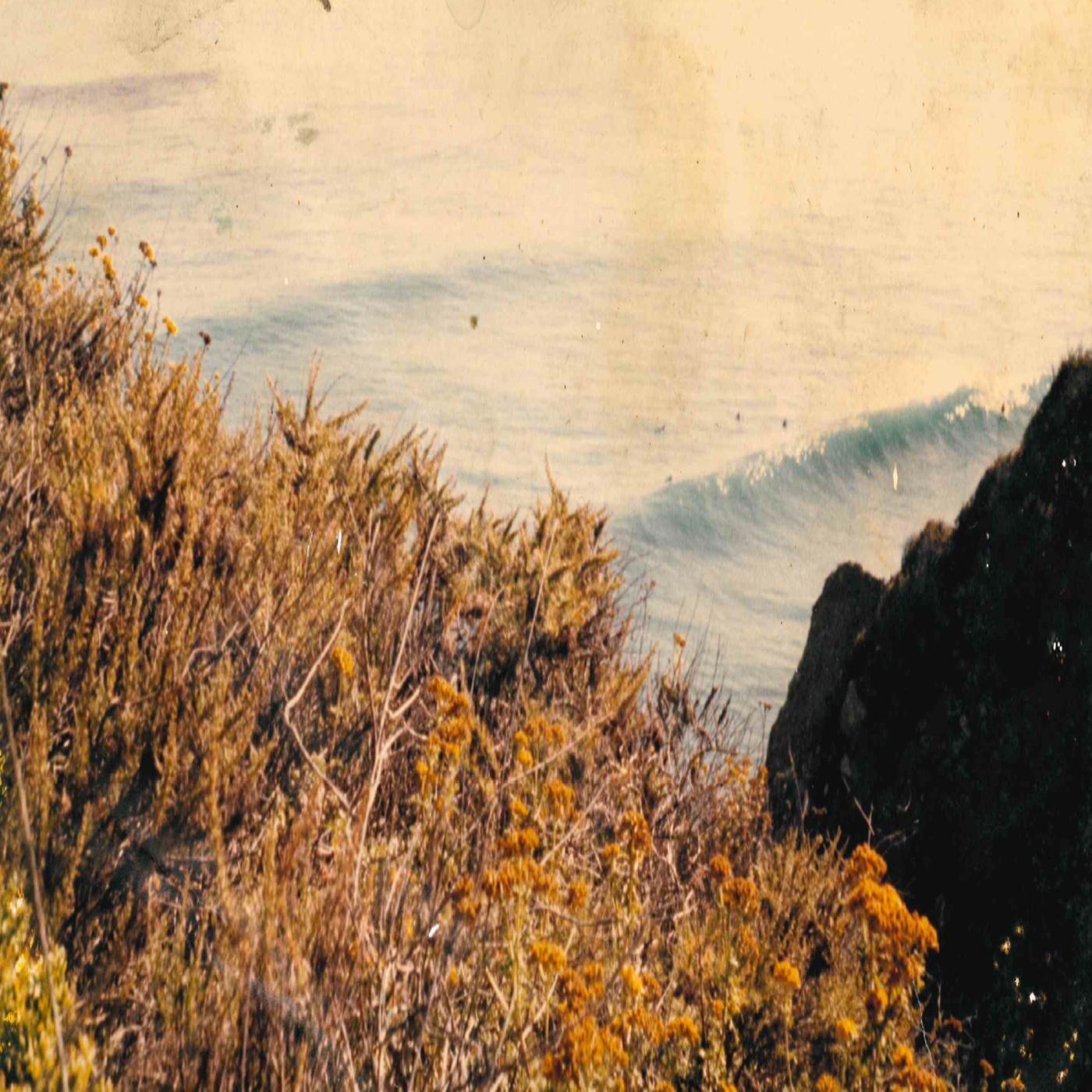 Track Image