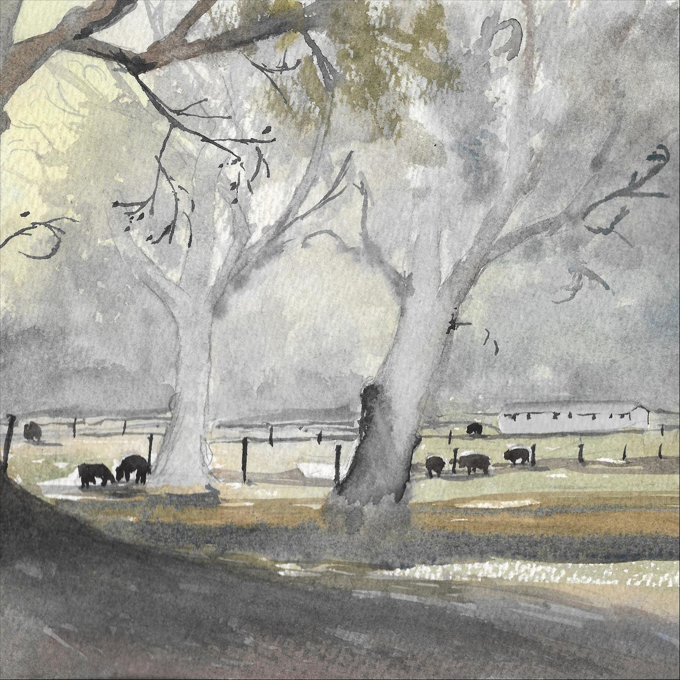 Track Image