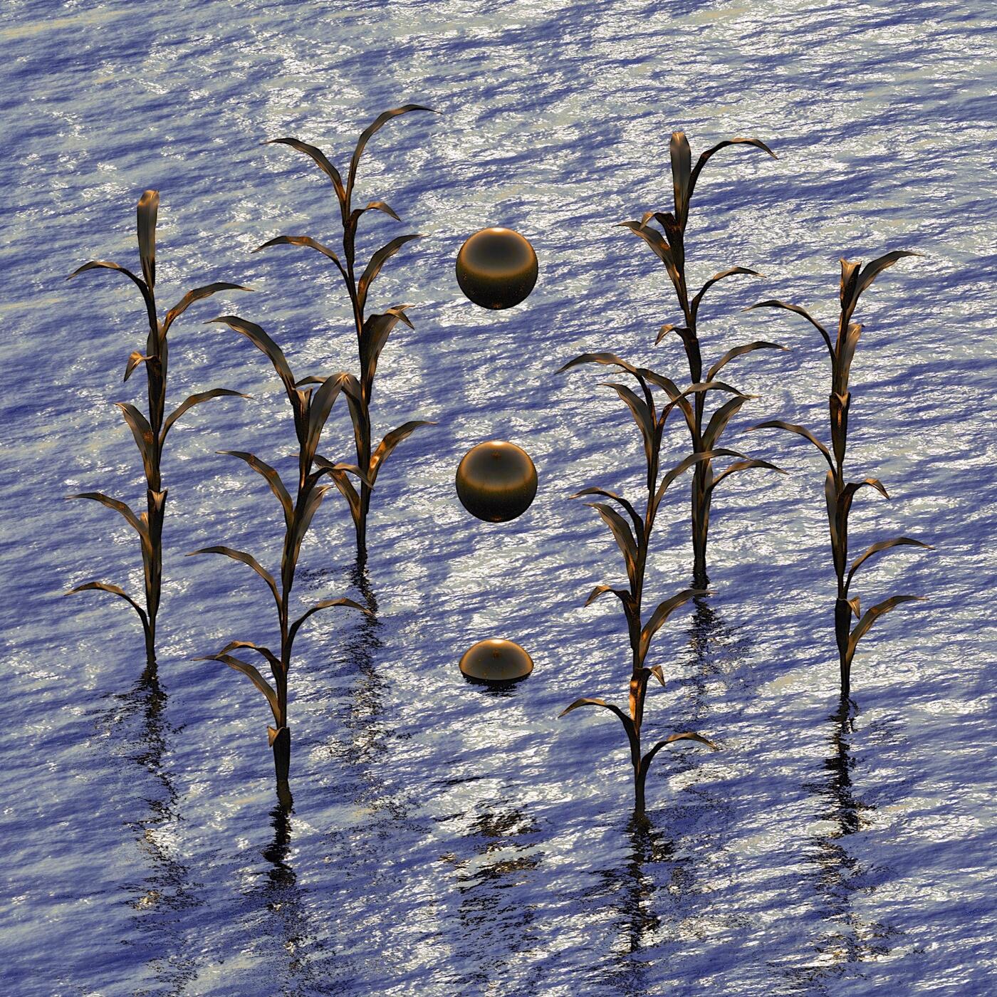Track Image