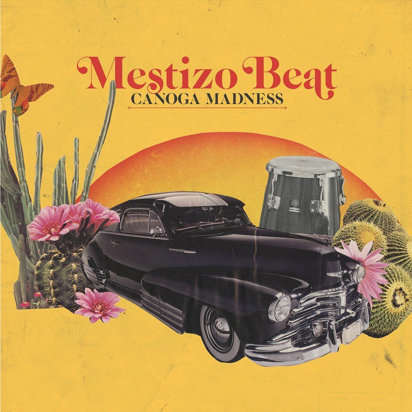 Track Image