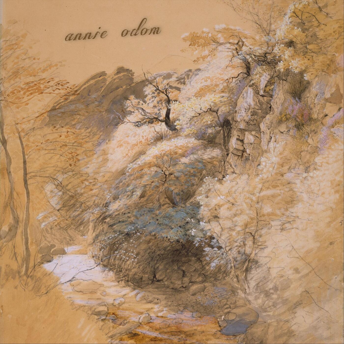 Track Image