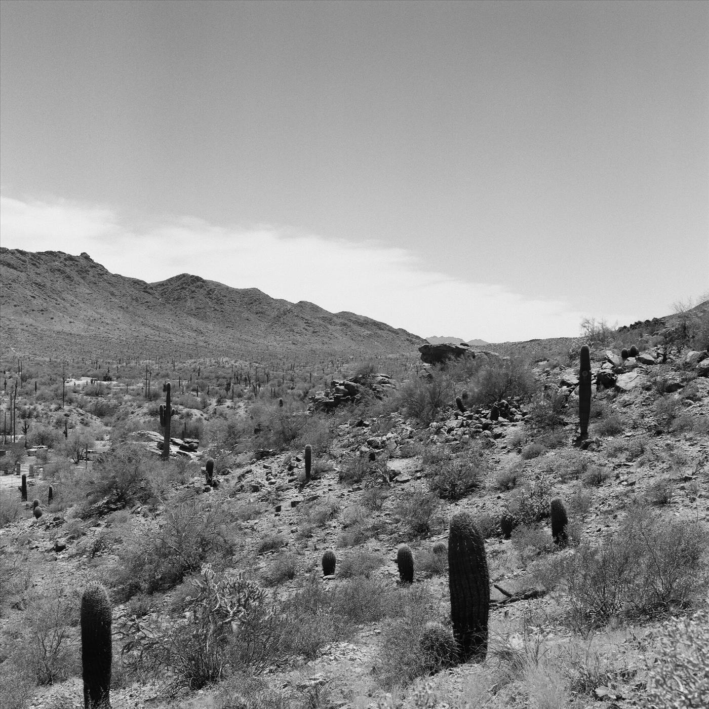 Track Image