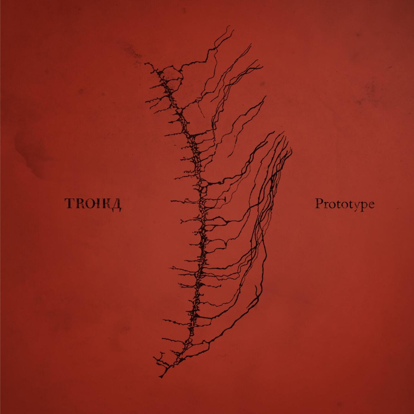 Track Image