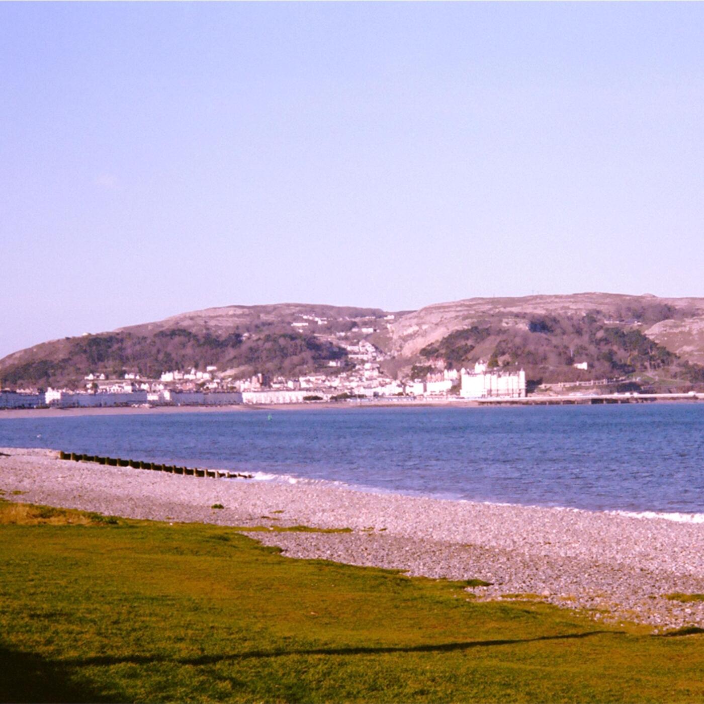 Track Image