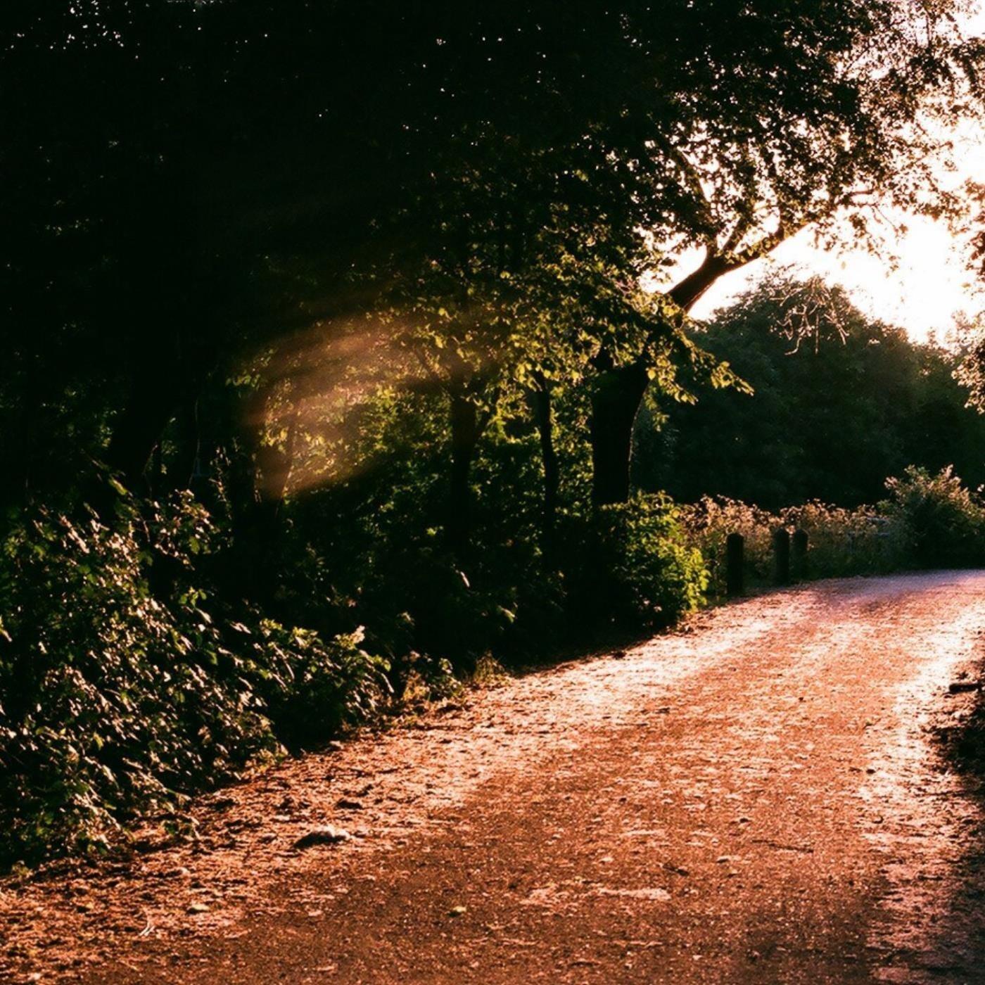 Track Image