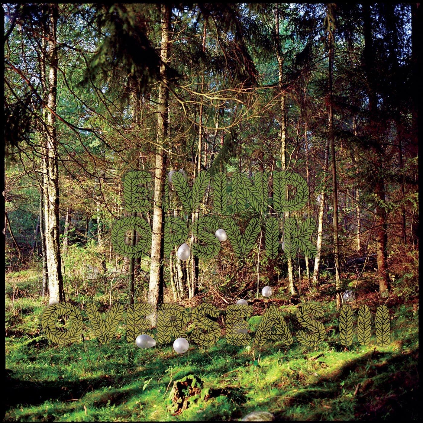 Track Image