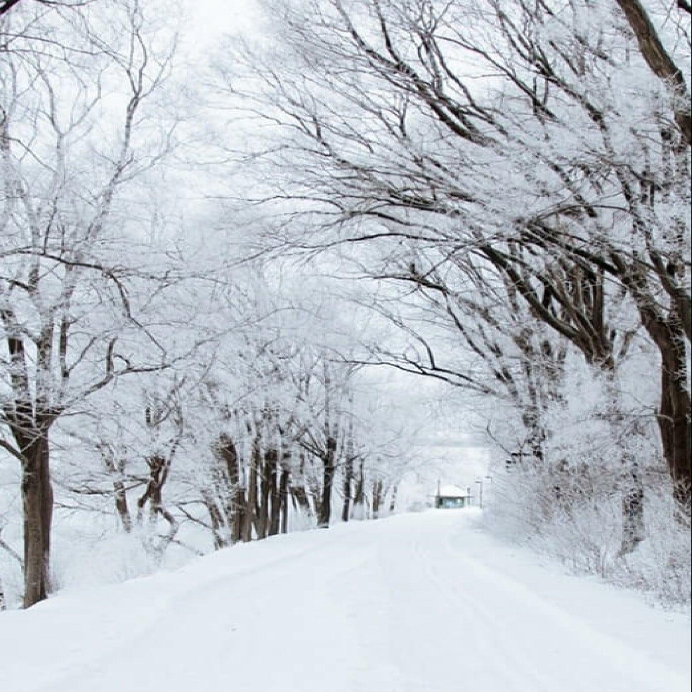 Track Image