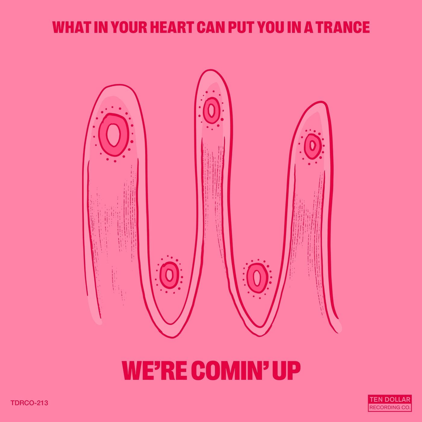 Track Image