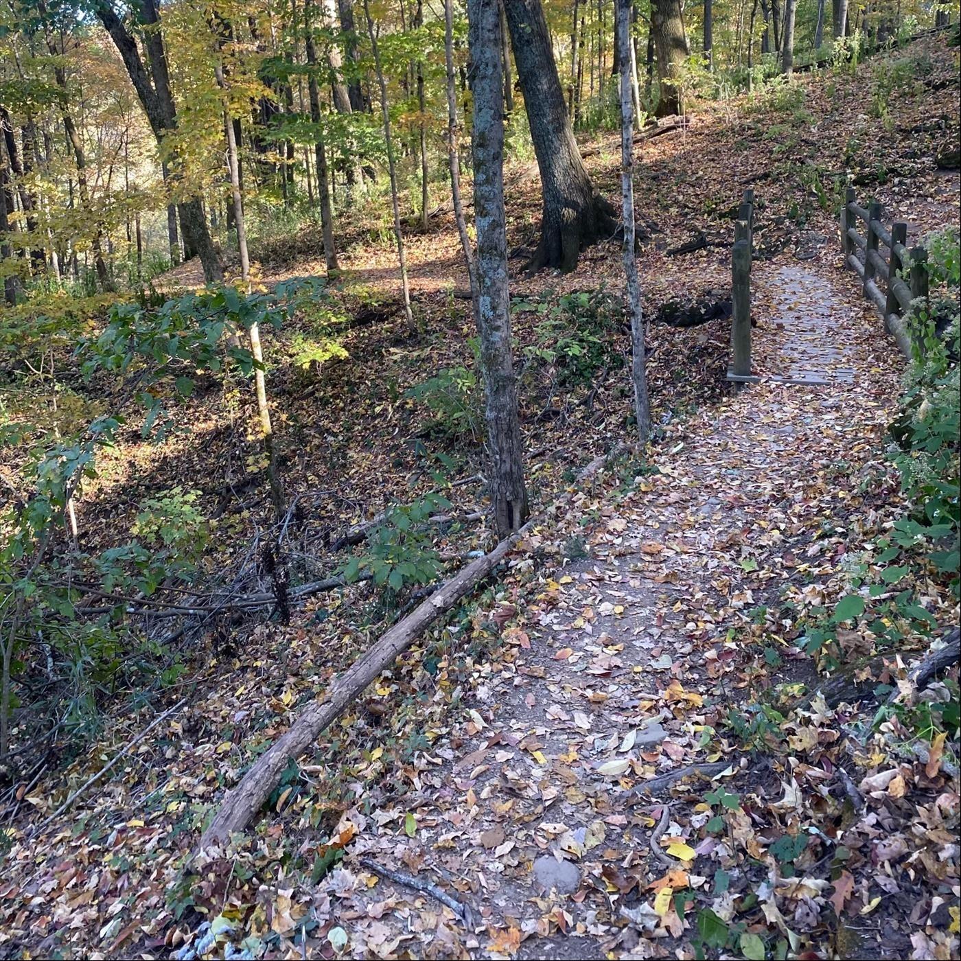 Track Image