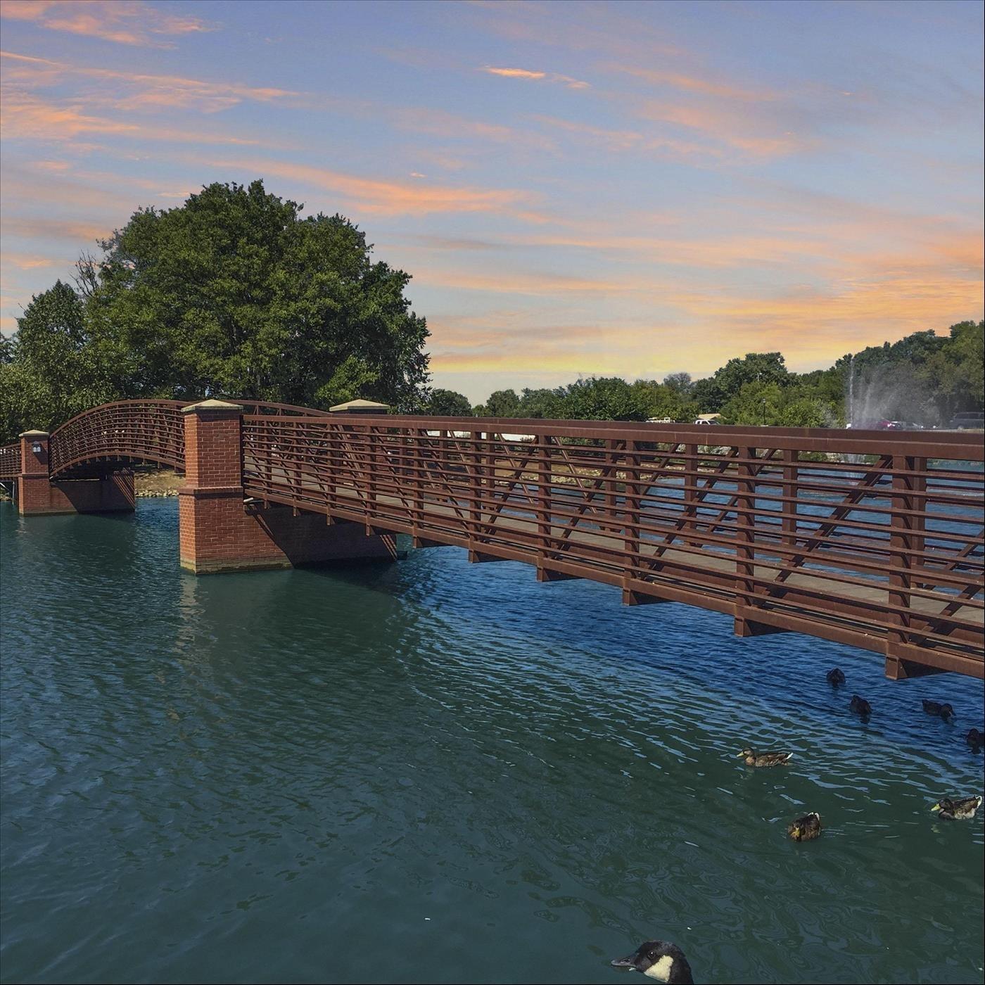 Track Image