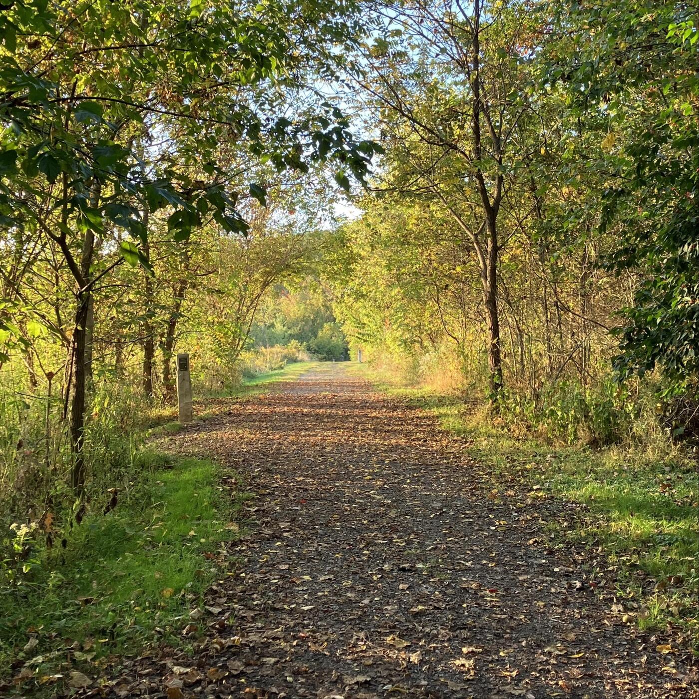 Track Image