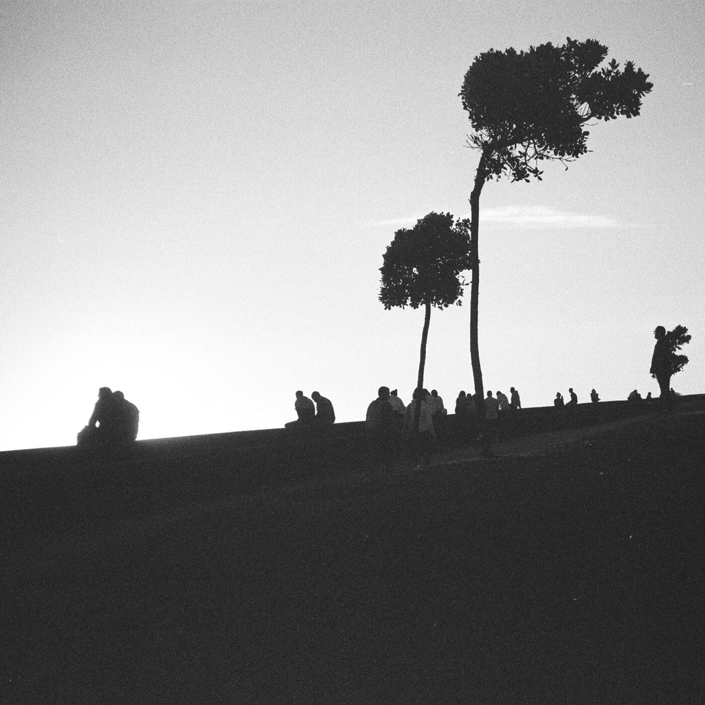 Track Image