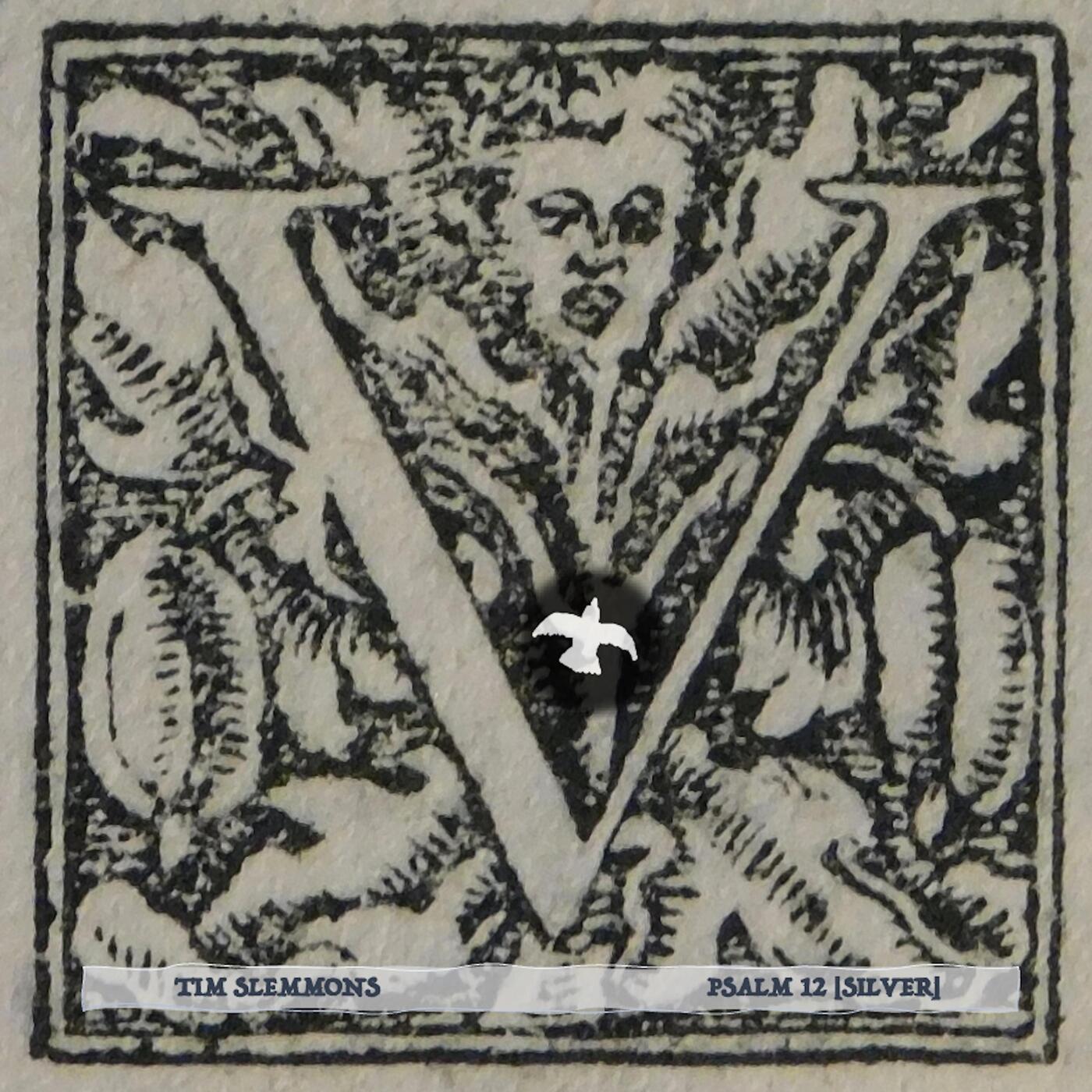 Track Image