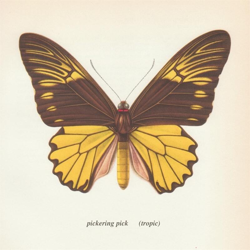 Track Image
