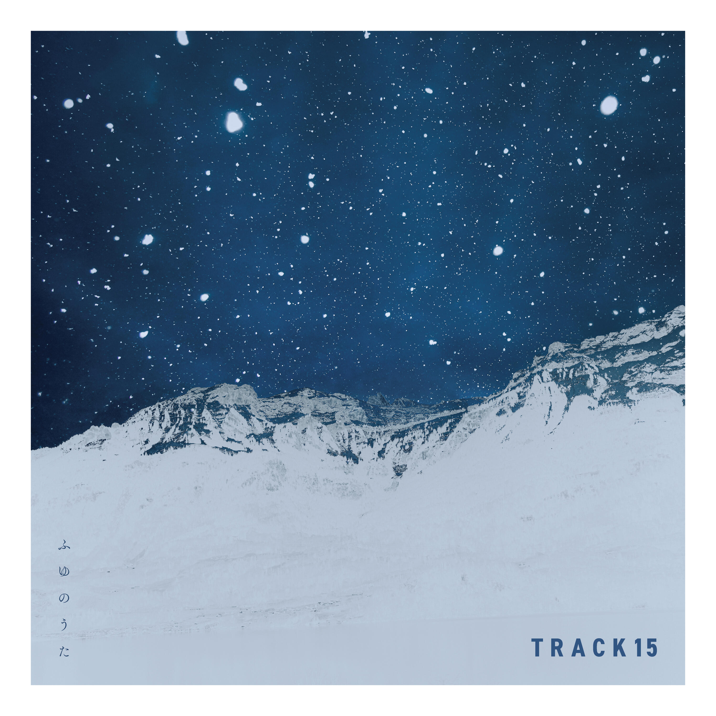 Track Image