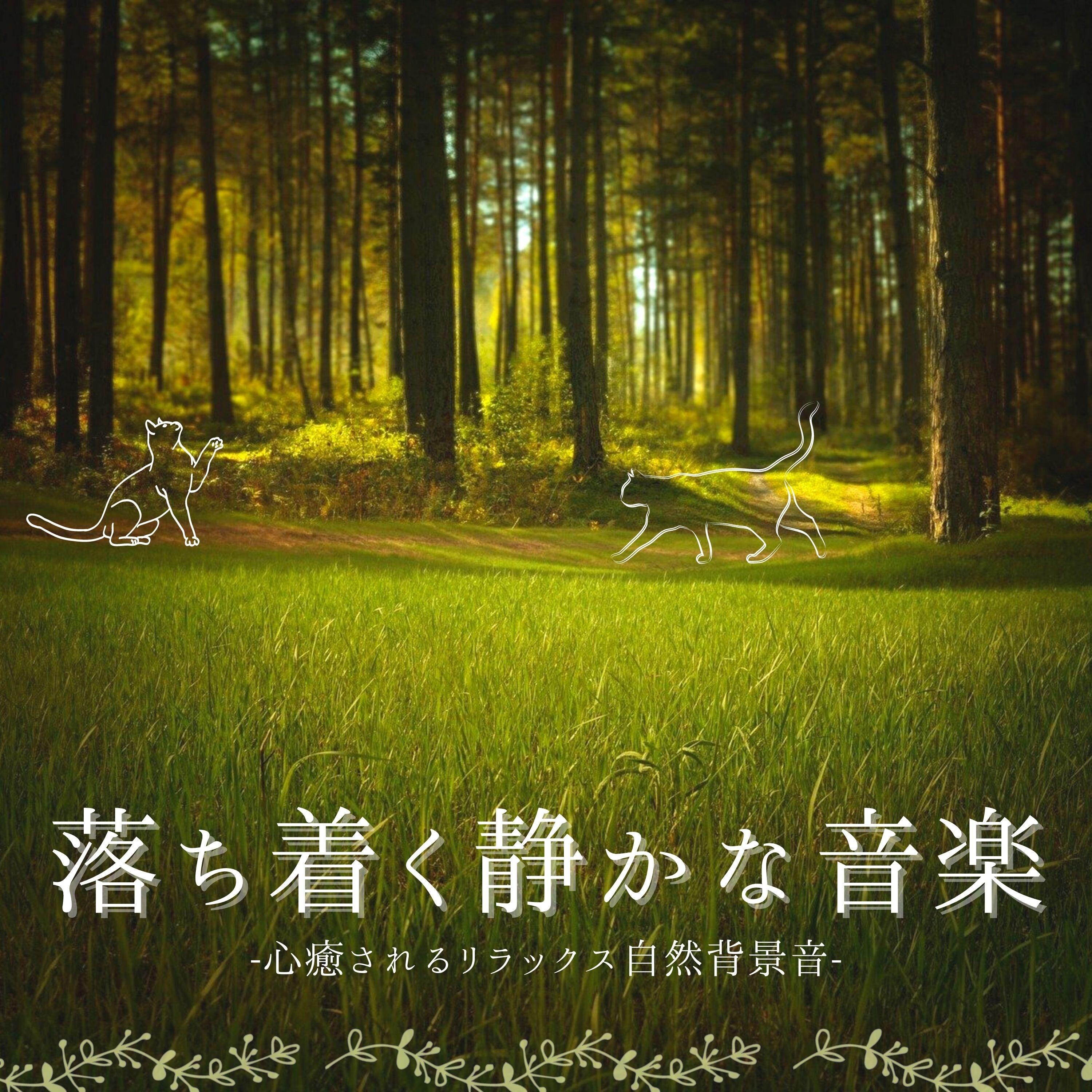 Stream Free Songs By 休憩場所 Similar Artists Iheart