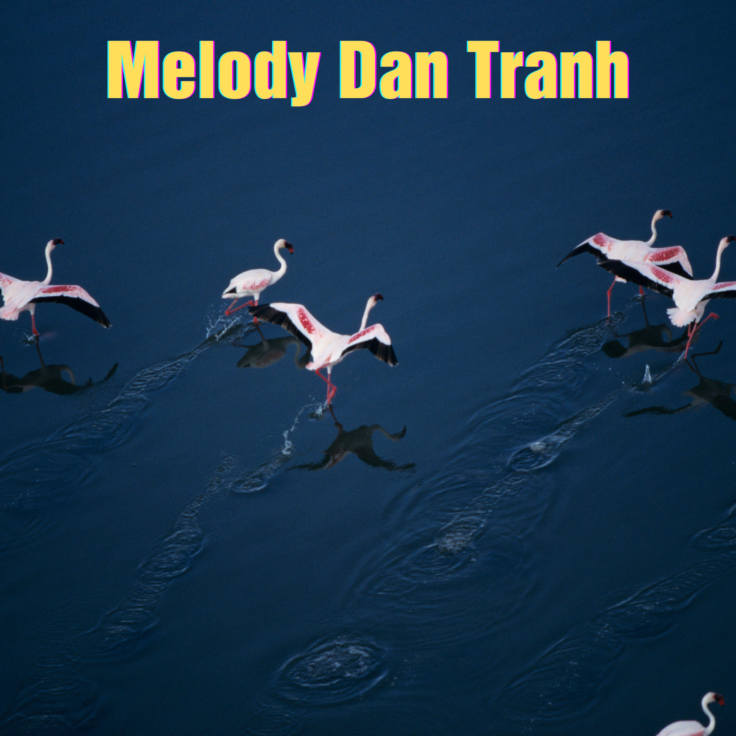 Track Image