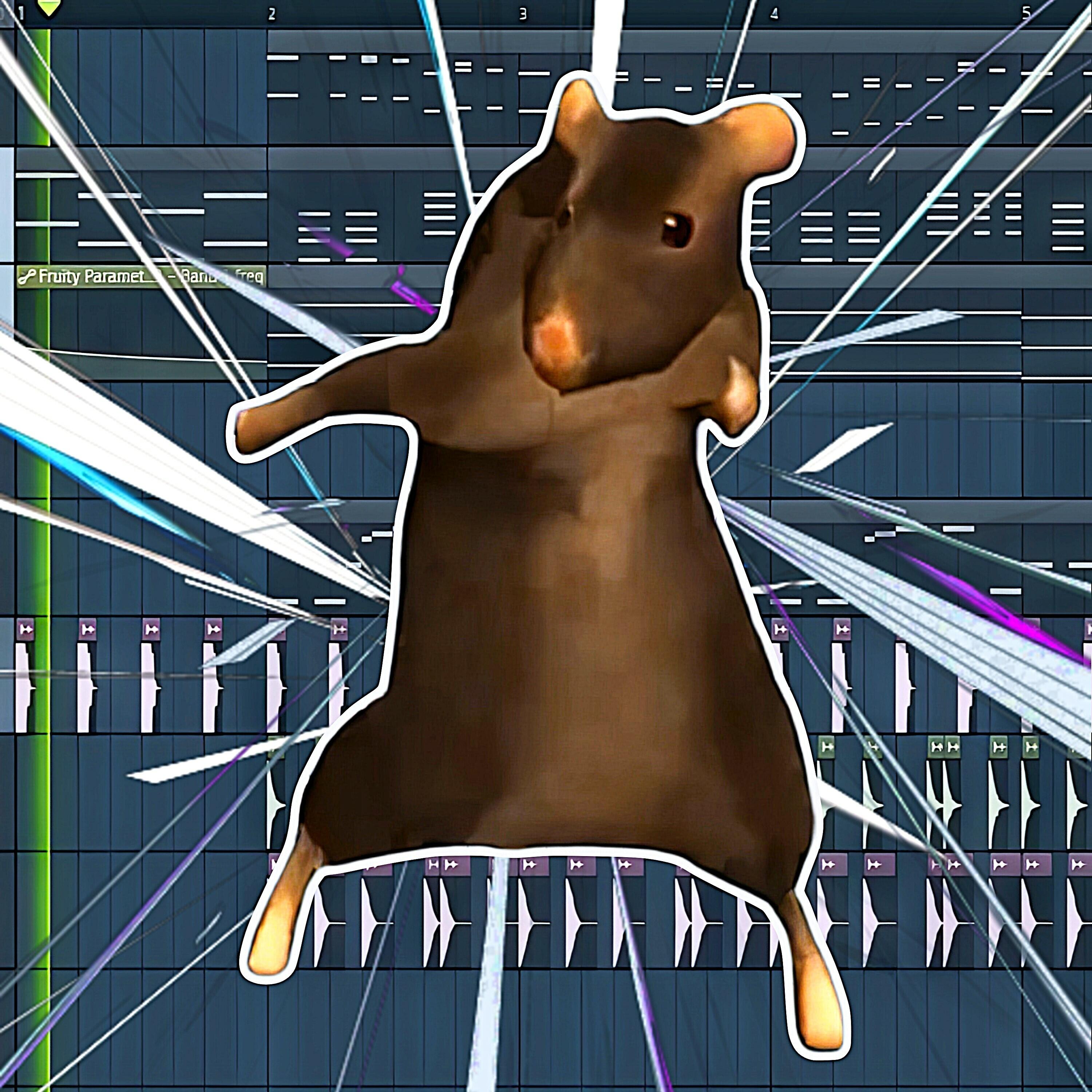 Track Image