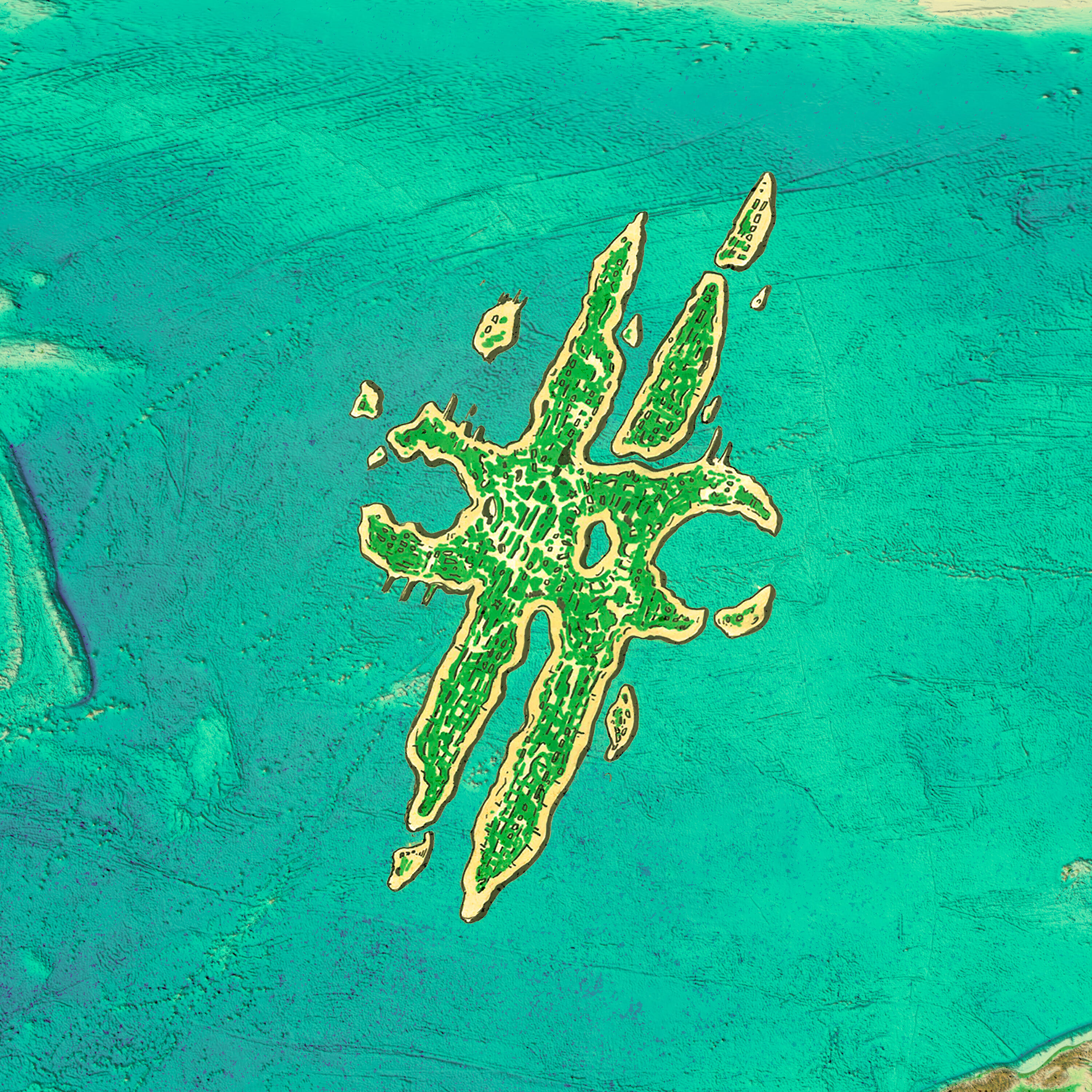 Track Image
