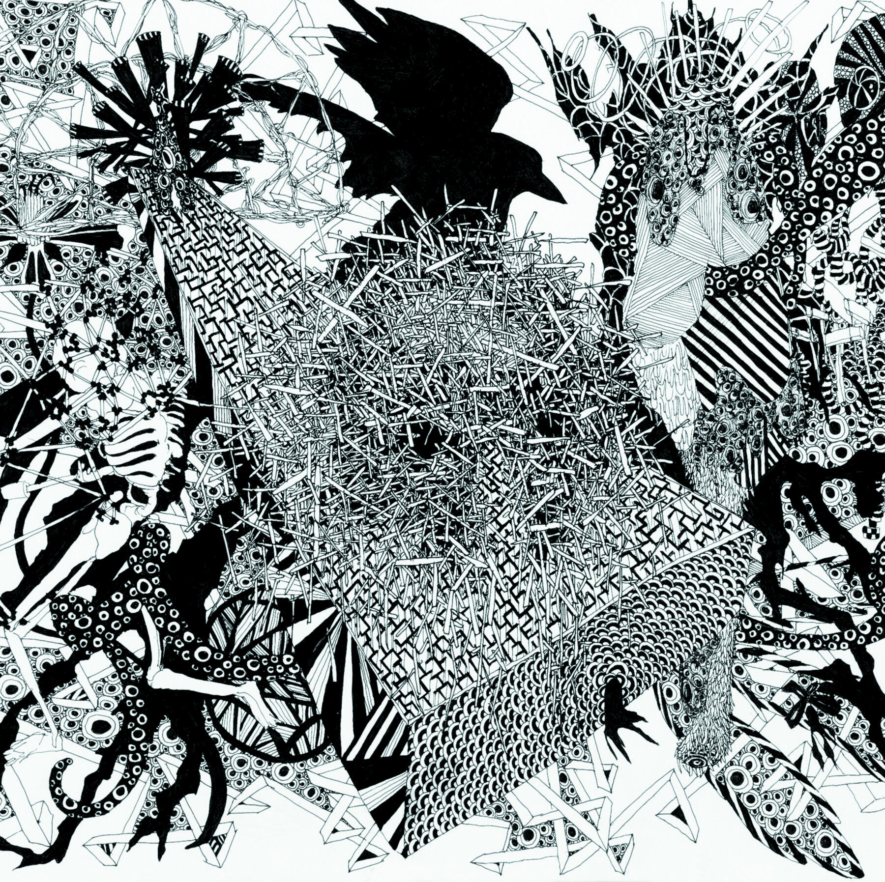 Track Image