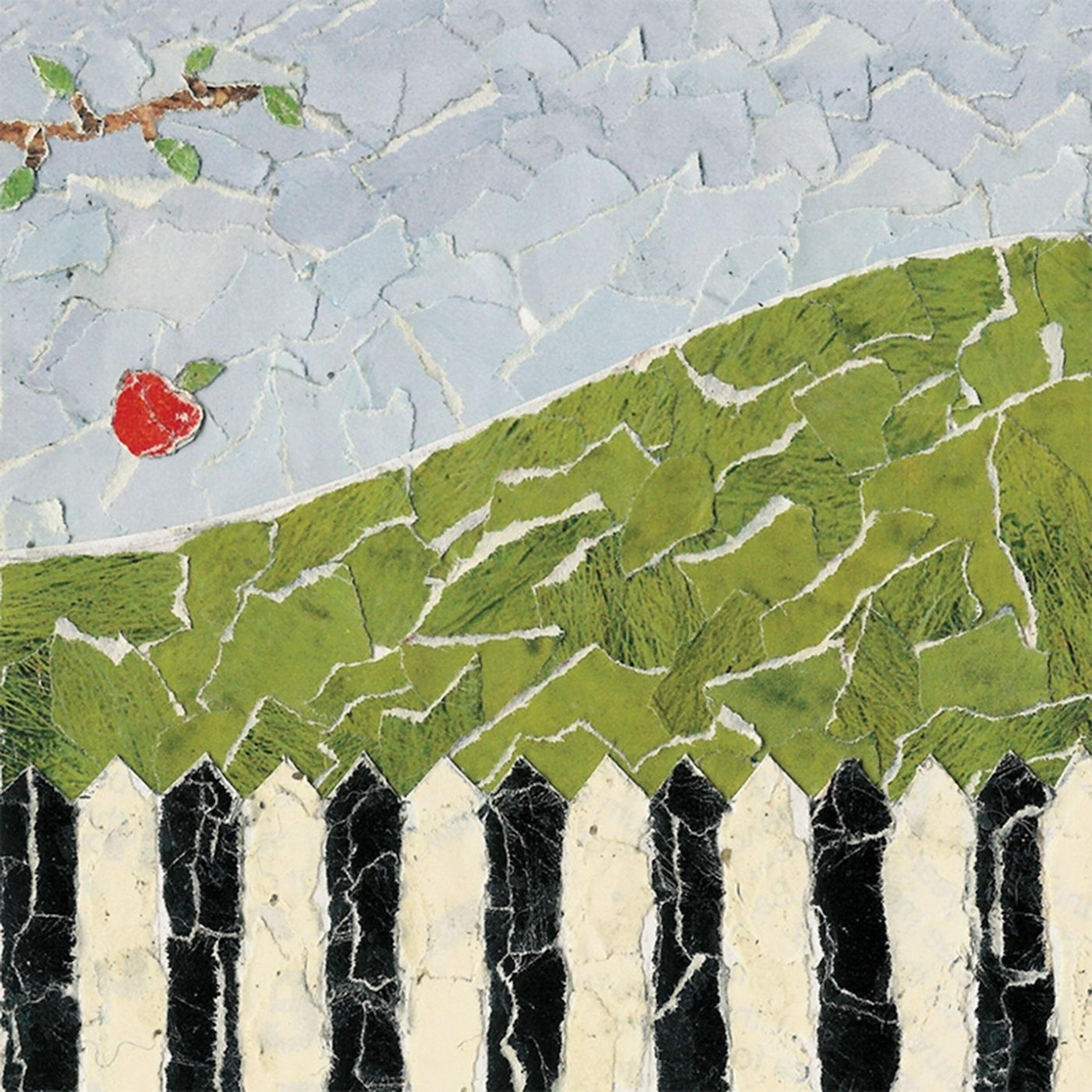 Track Image