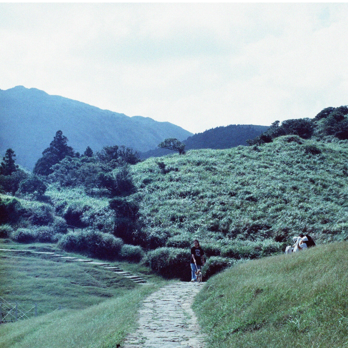 Track Image