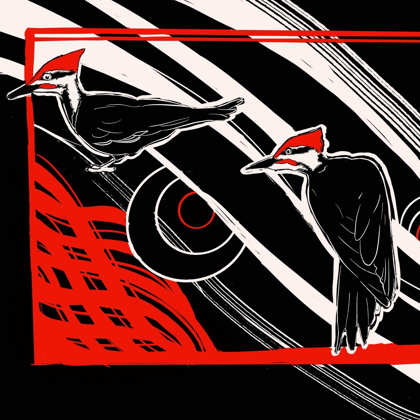 Track Image