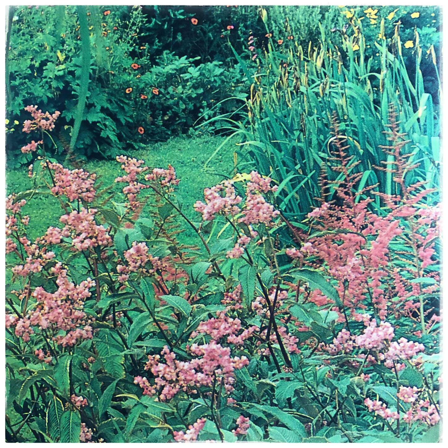 Track Image