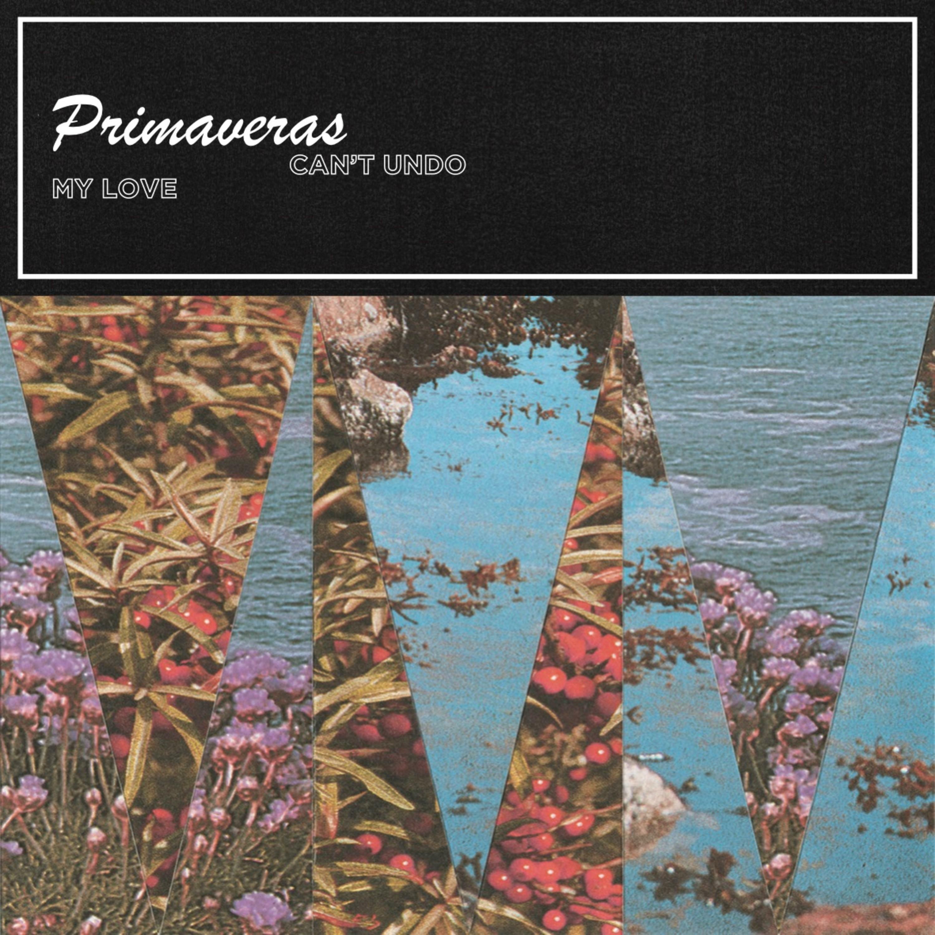 Track Image