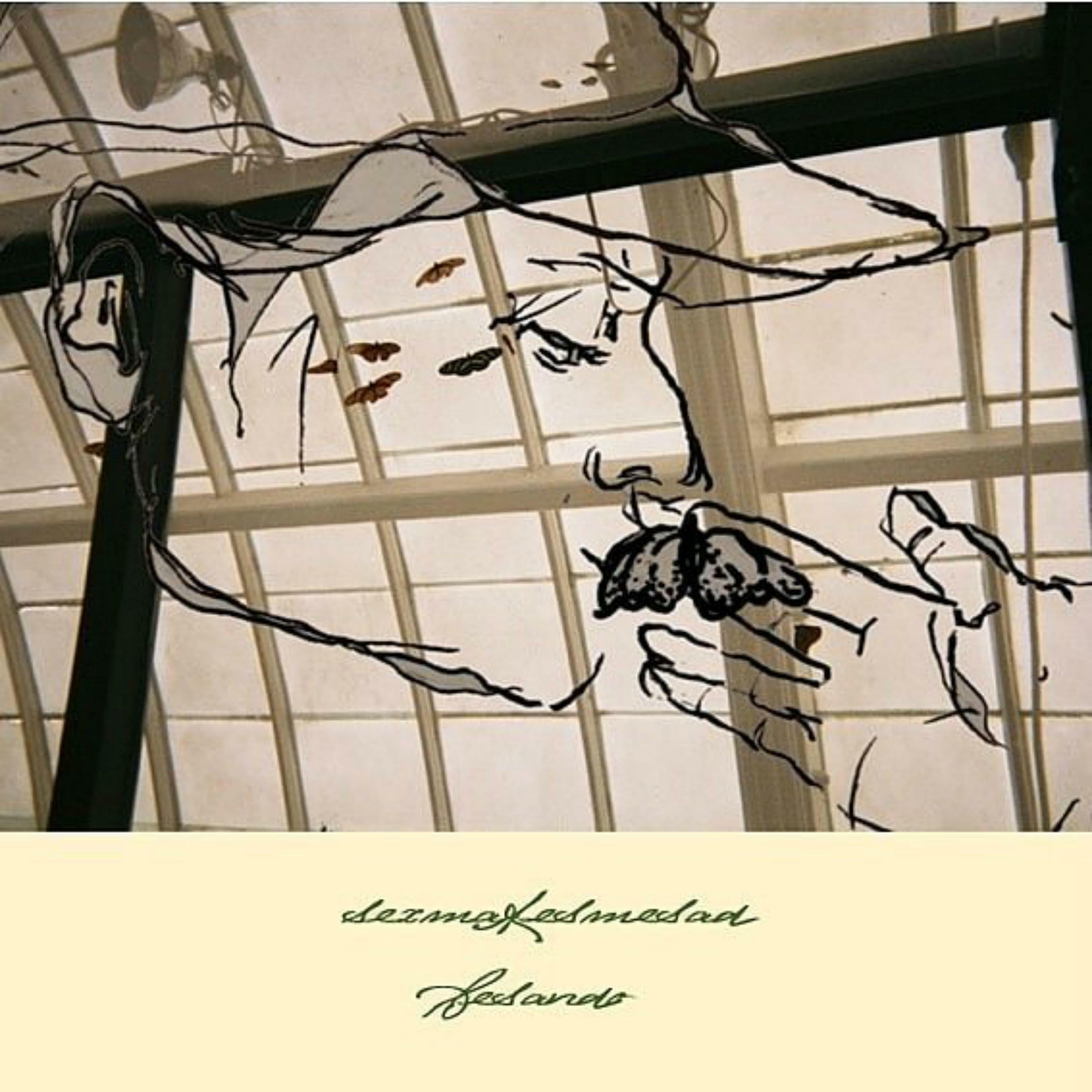 Track Image