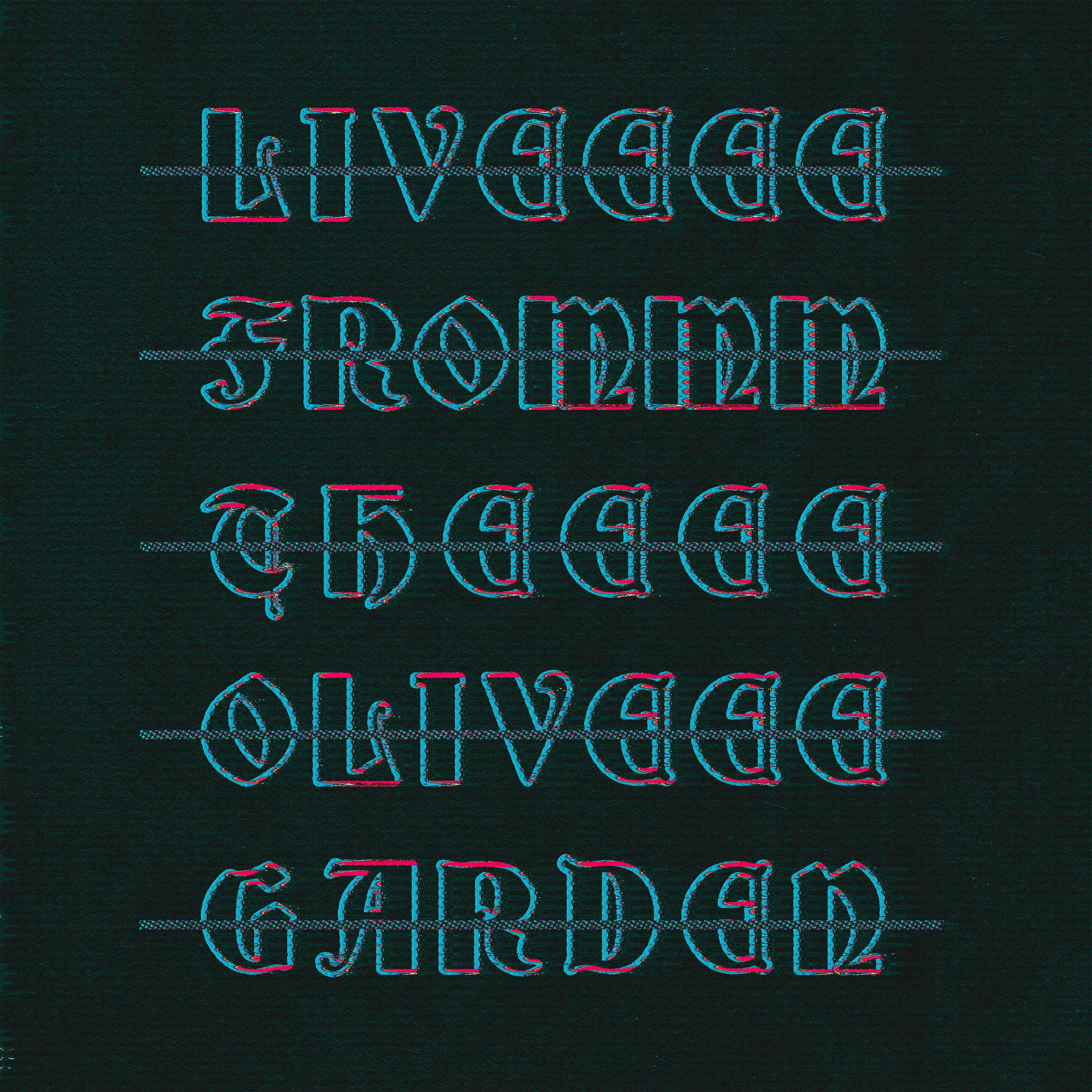 Track Image