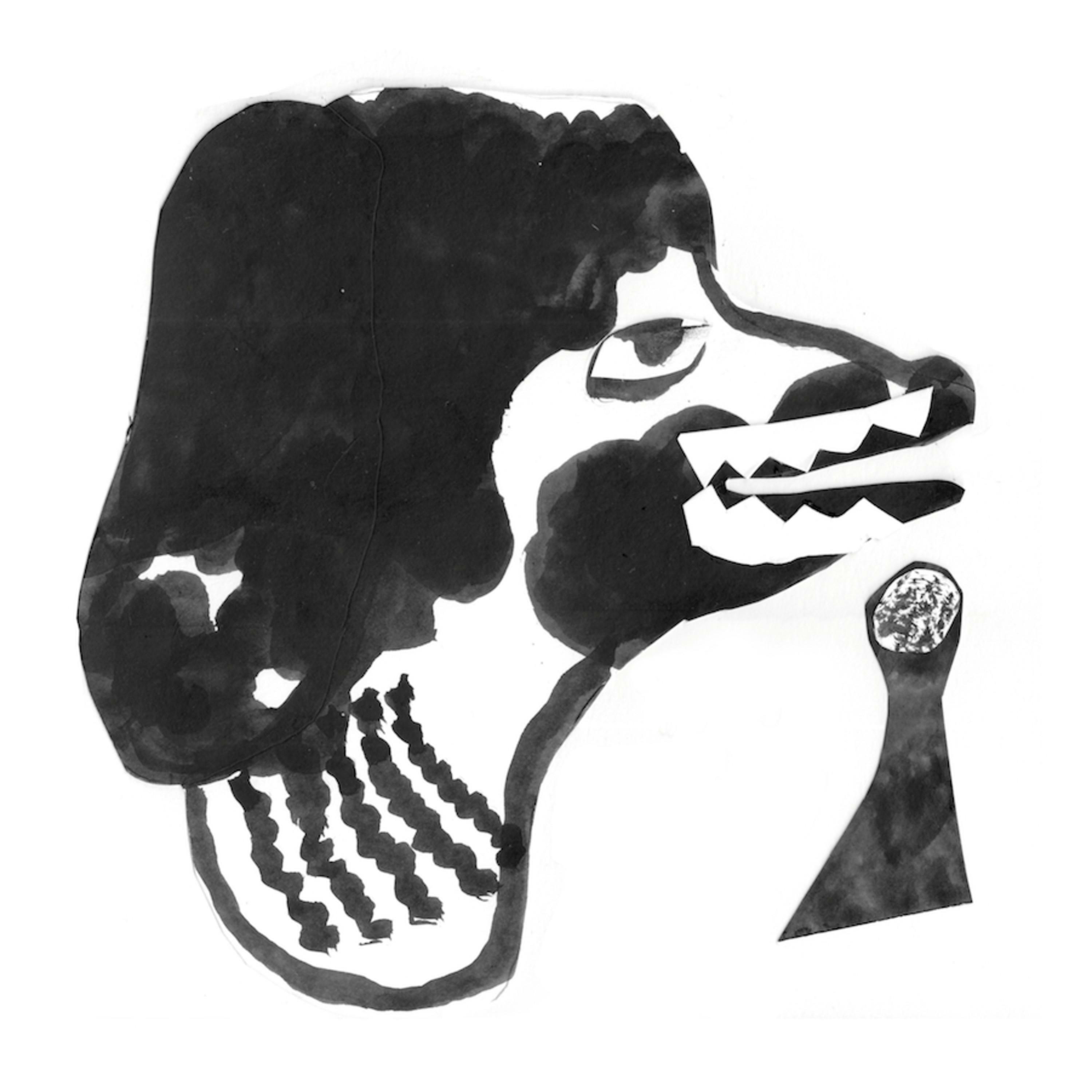 Track Image
